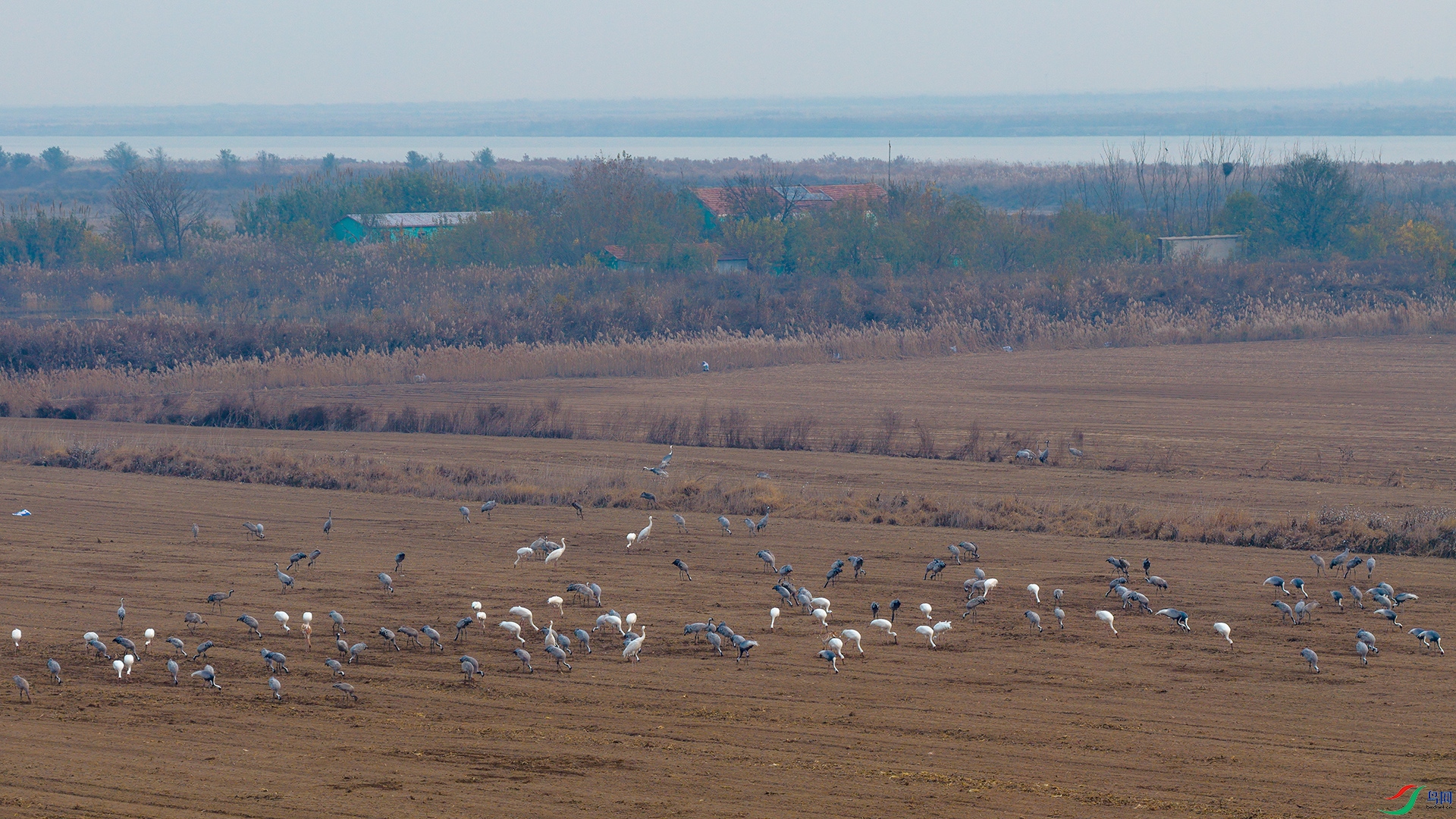 DJI_20251123083312_0056_D-1.jpg