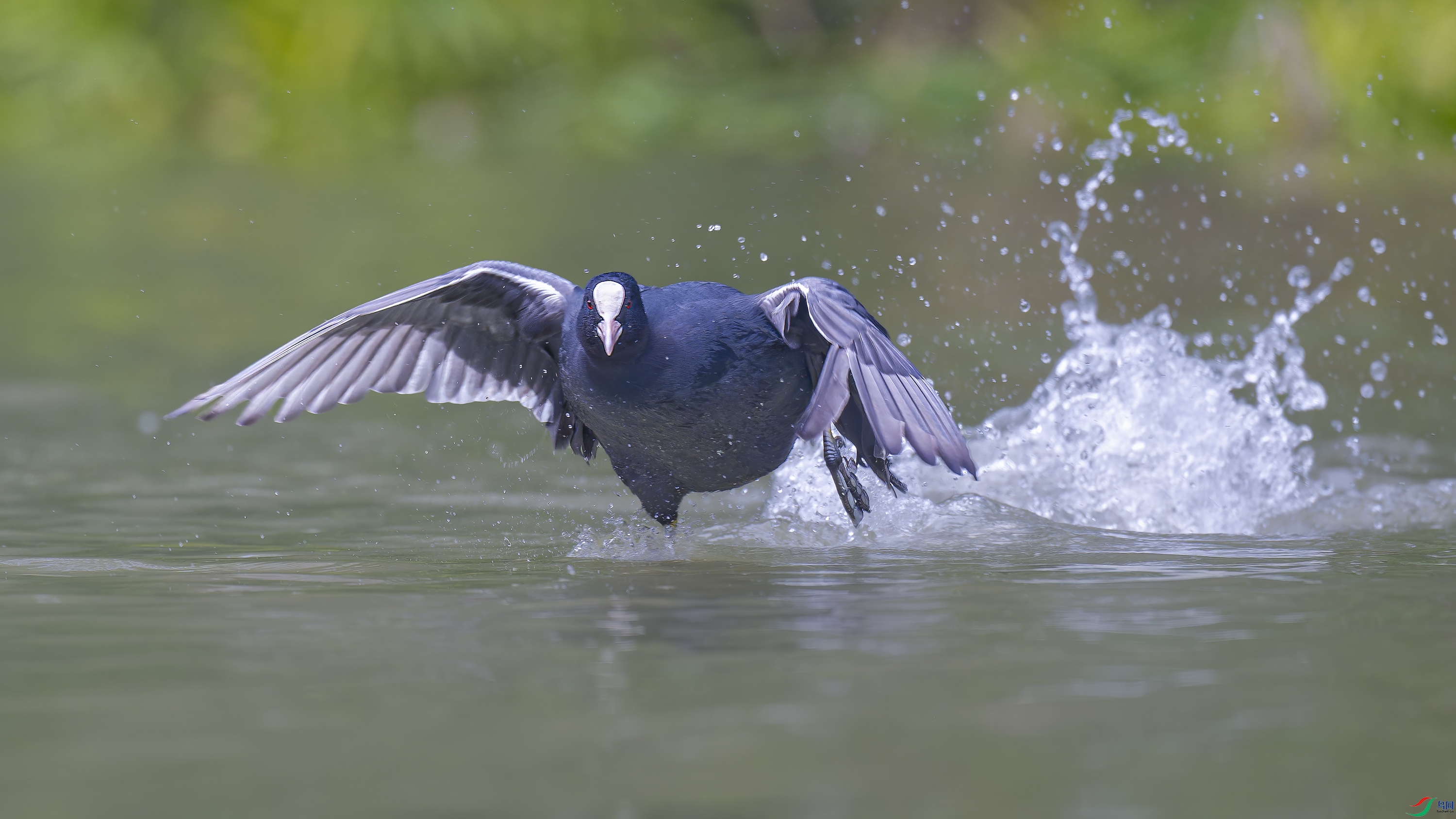 DSC_8967_DxO.jpg