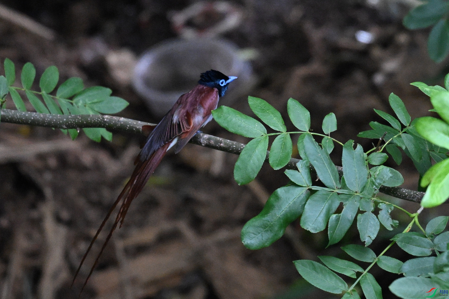DSC_8201.JPG