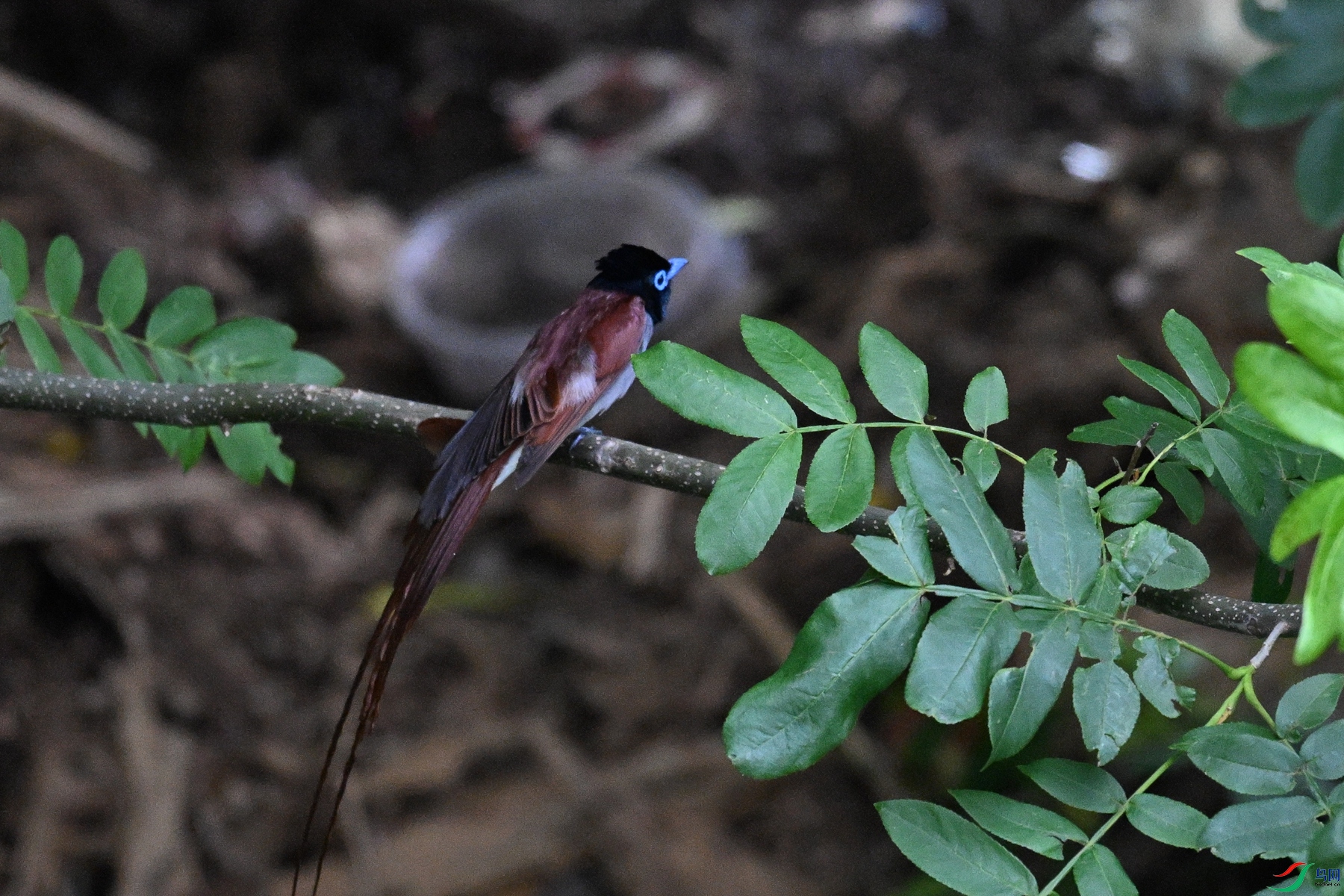 DSC_8210.JPG