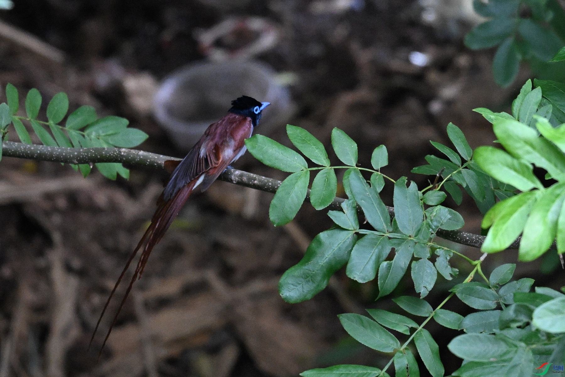 DSC_8202.JPG