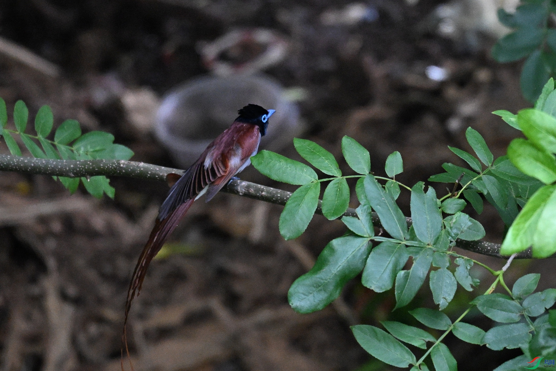 DSC_8214.JPG