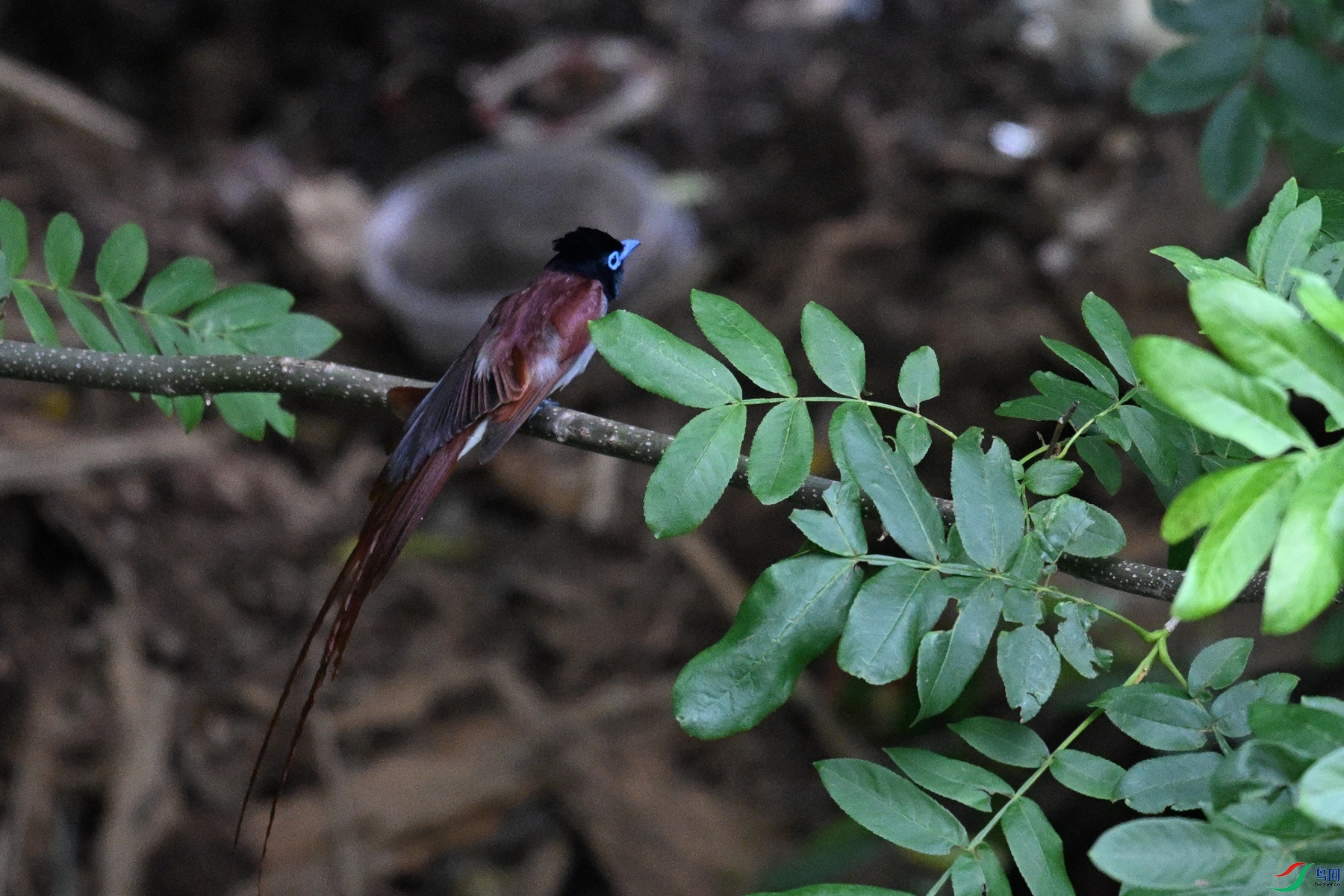 DSC_8204.JPG