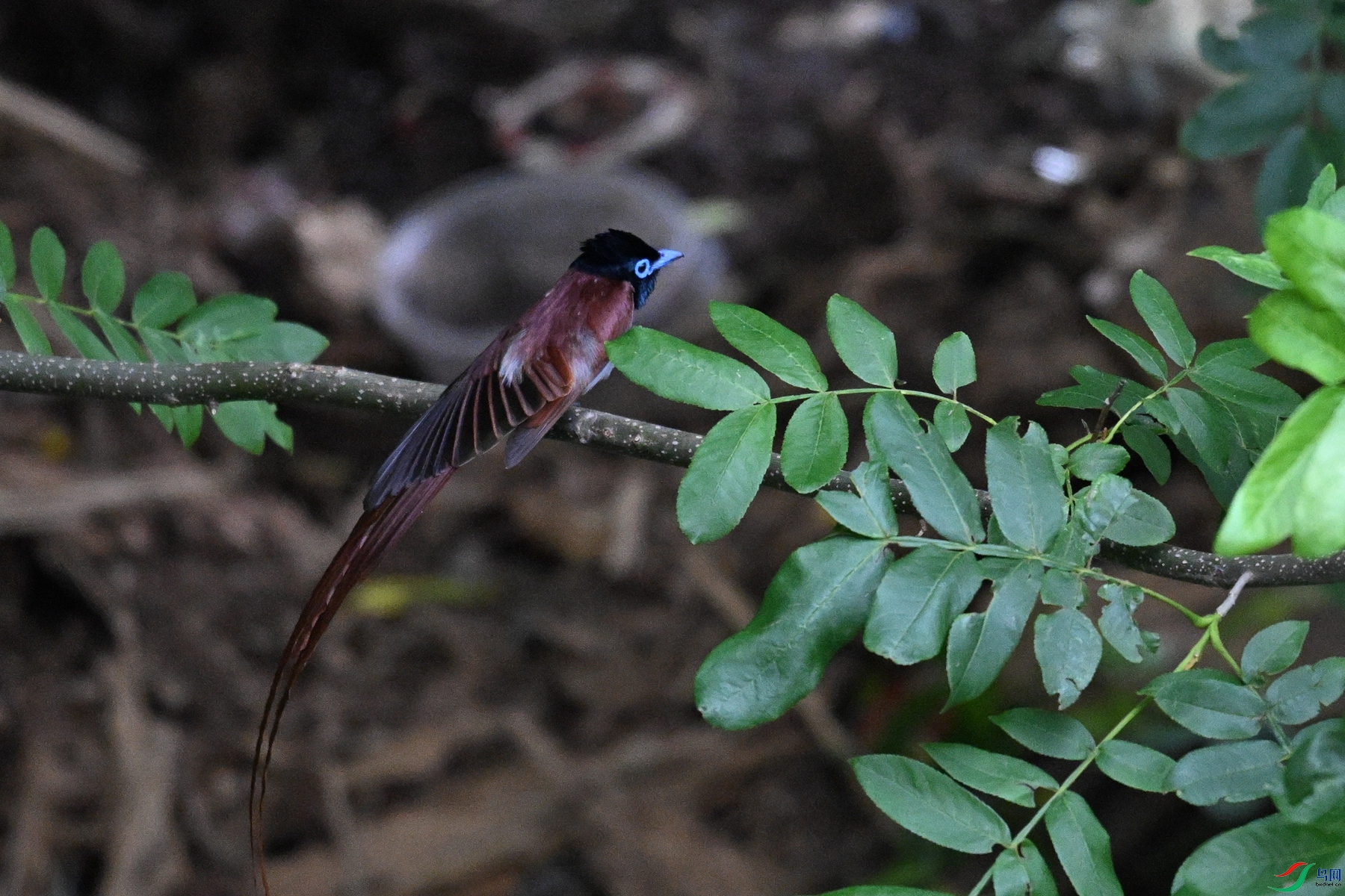 DSC_8220.JPG