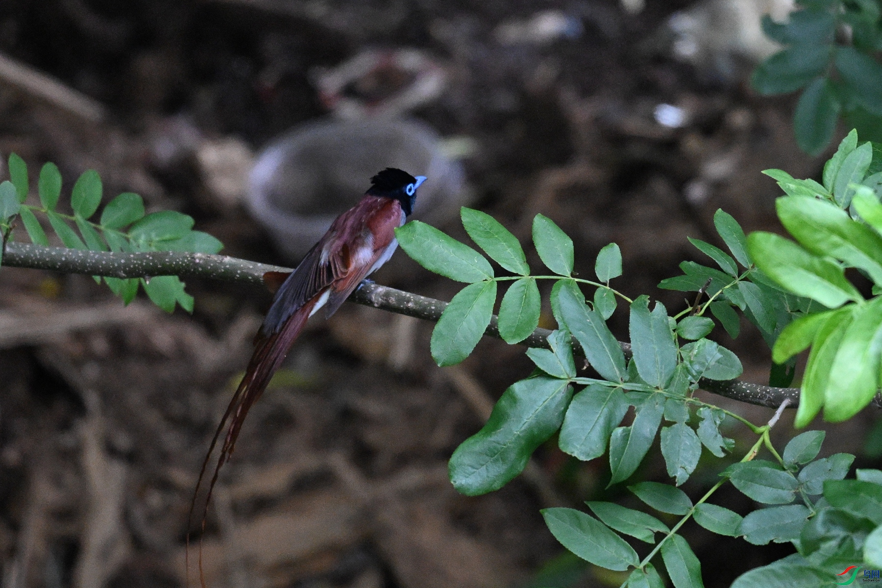 DSC_8208.JPG