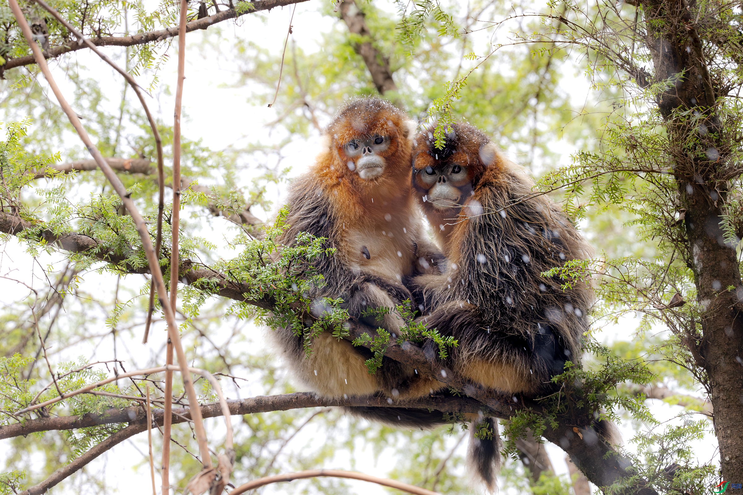 063A0799 ����.jpg