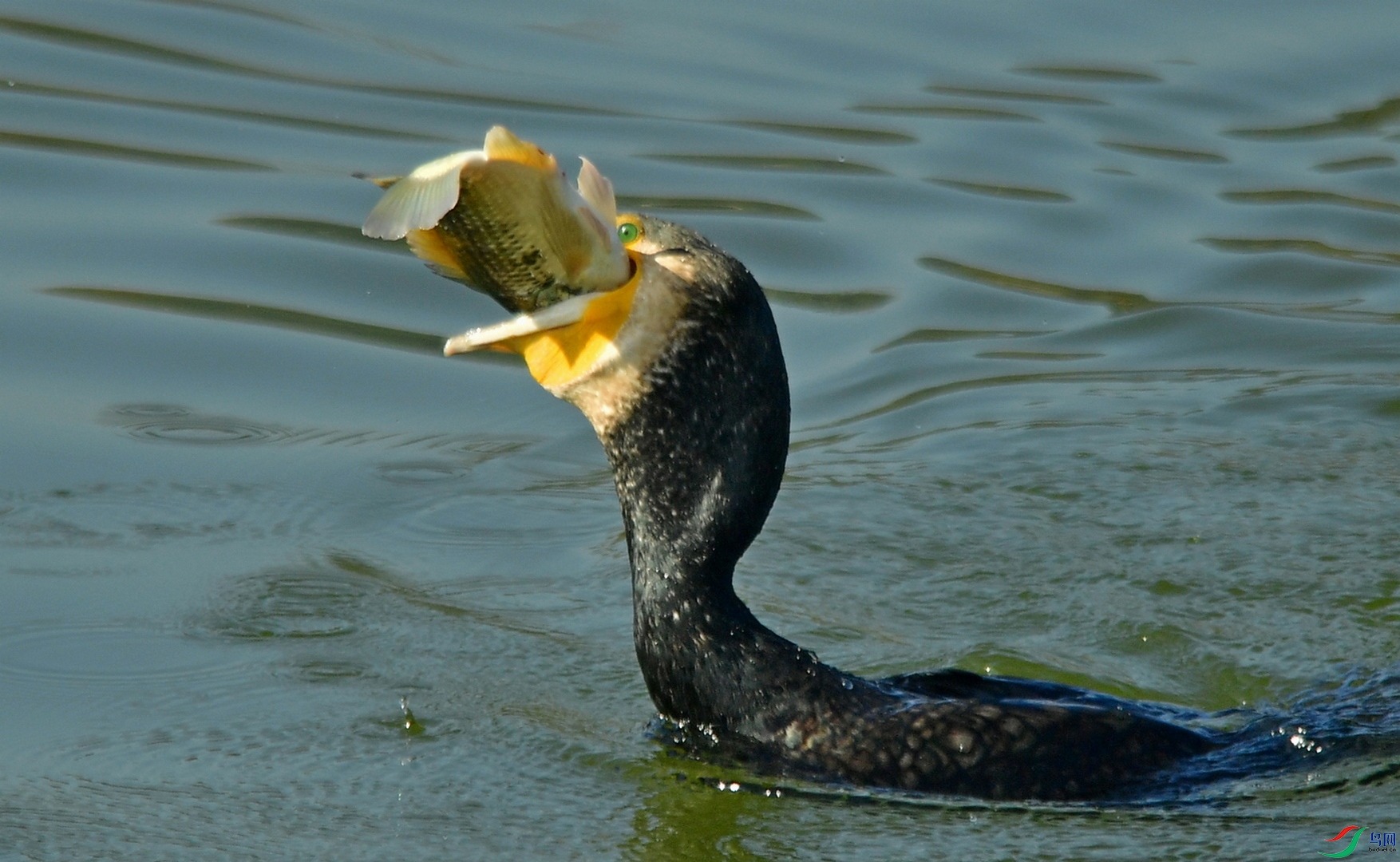 DSC_4905.JPG