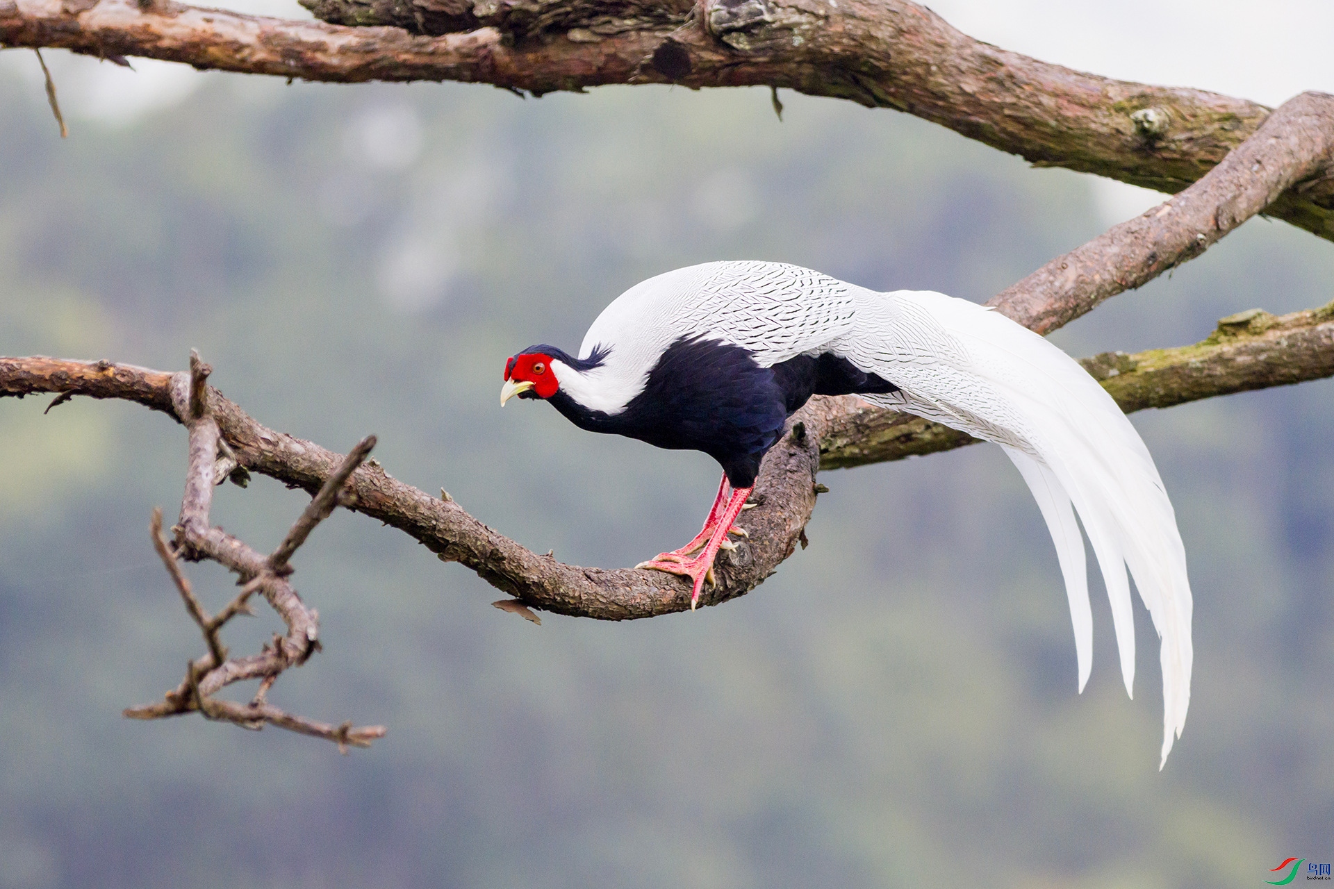 2H6A1100 ����1_����.jpg