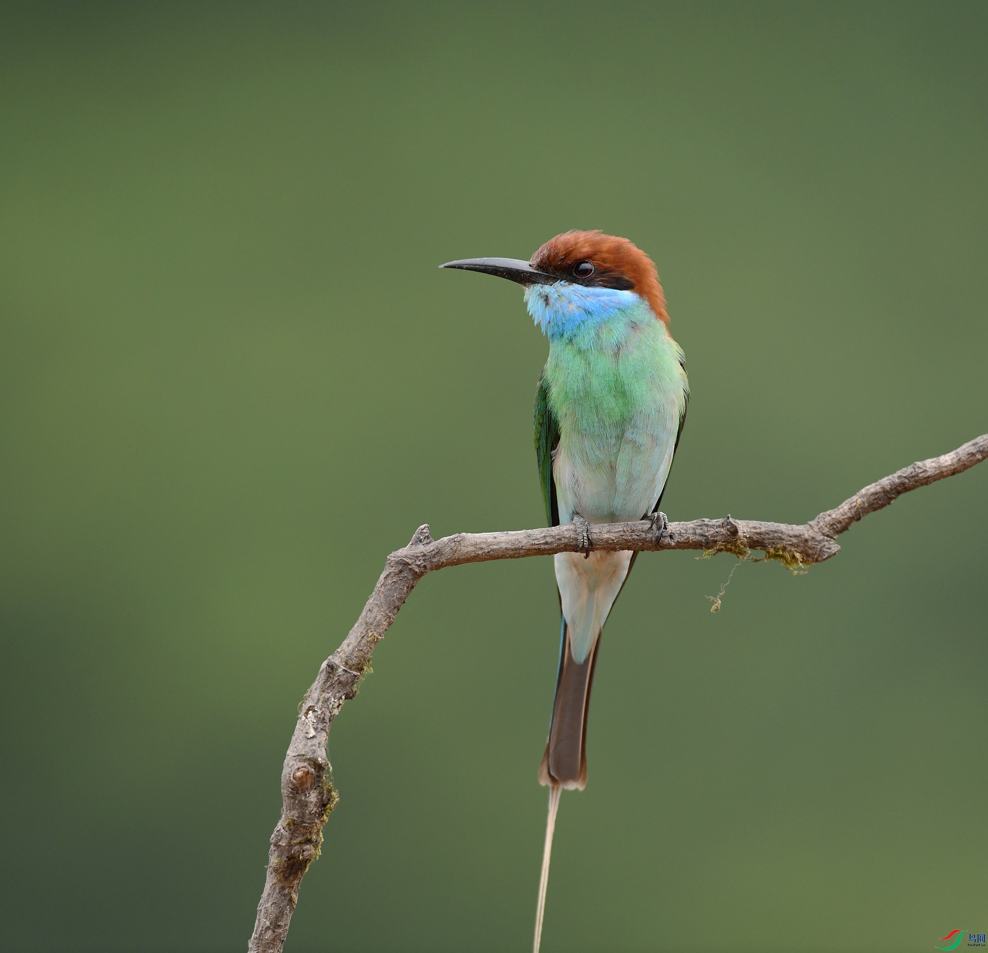 DSC_0944.jpg