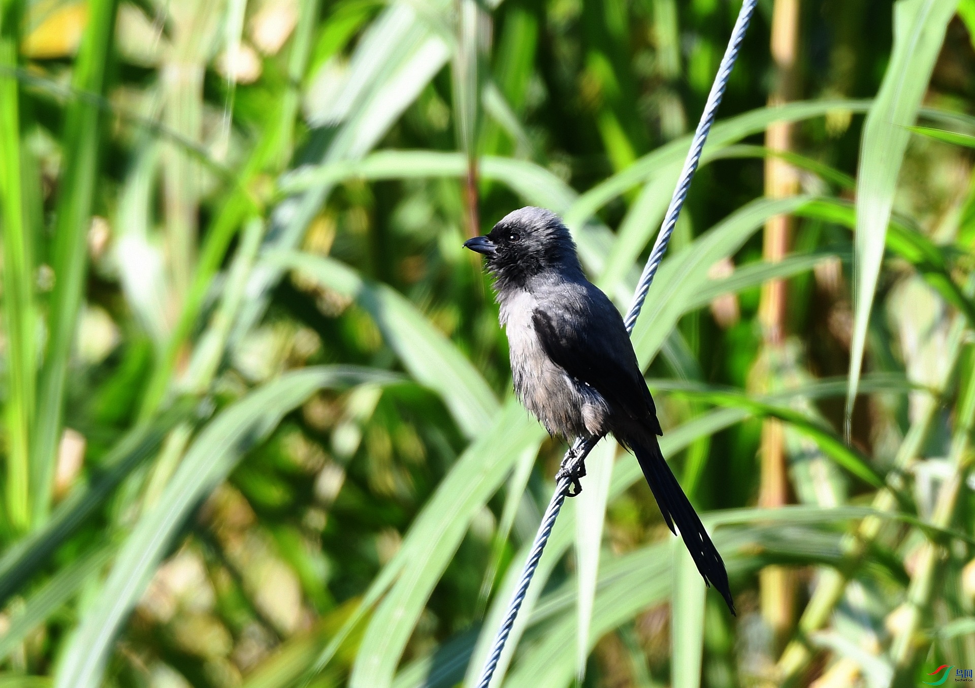 DSC_5262.jpg