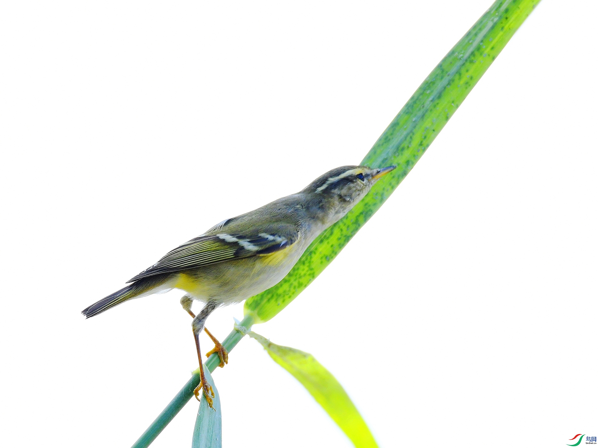 DSC_2636.jpg
