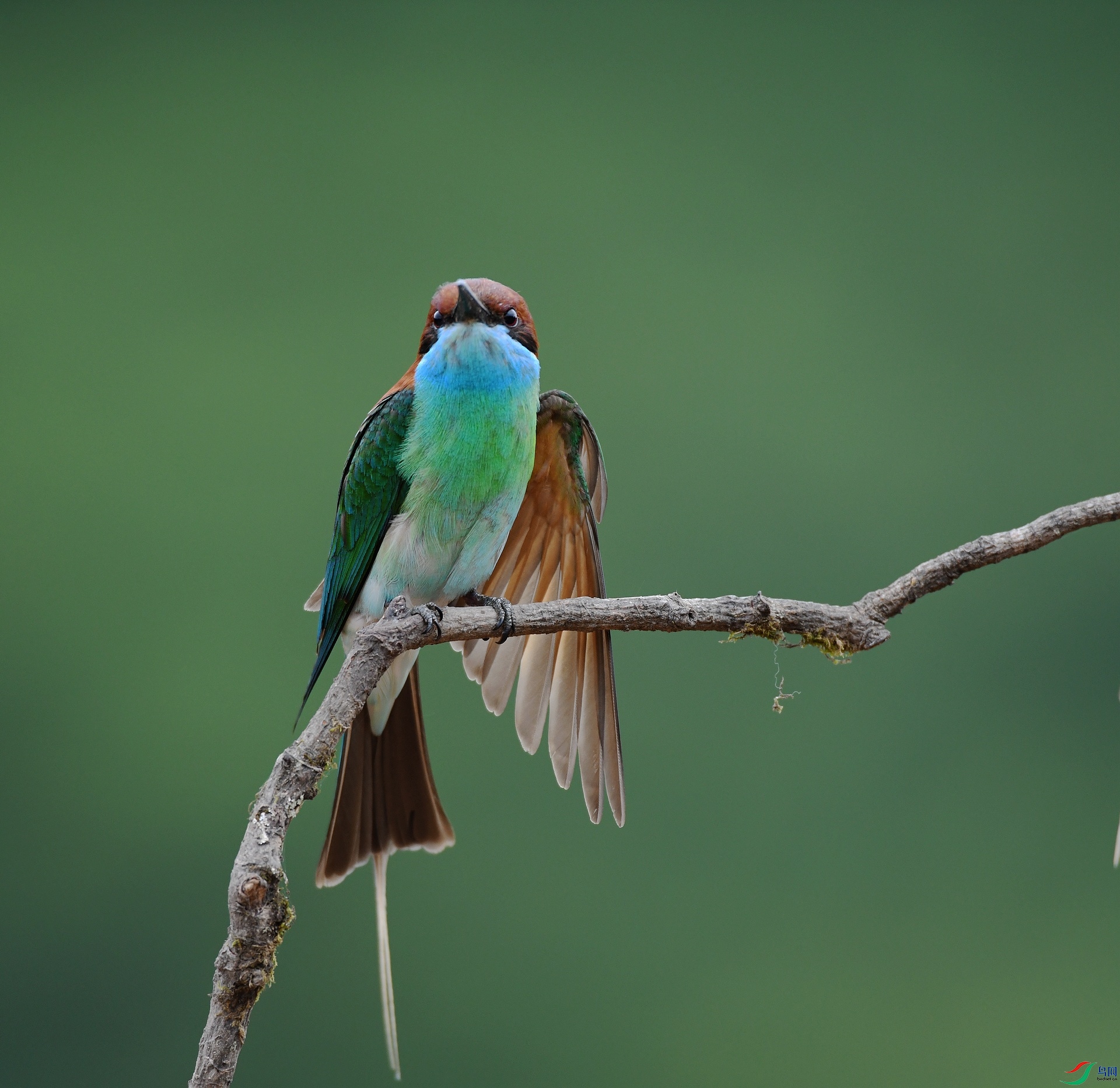 DSC_0908.jpg