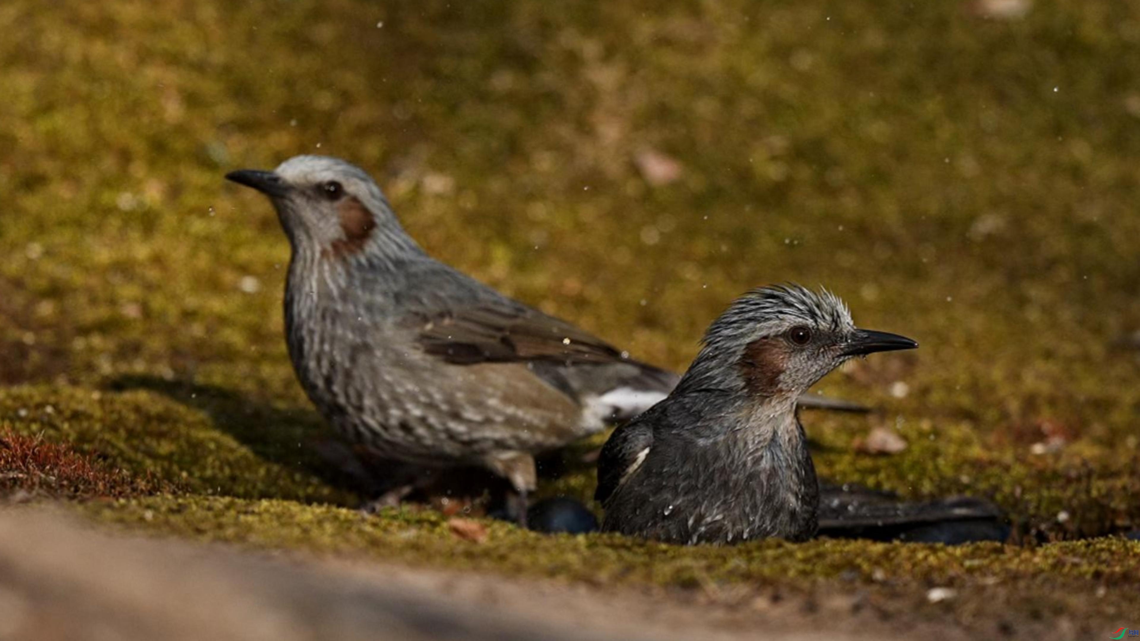 11��23�� (1)-����.jpg