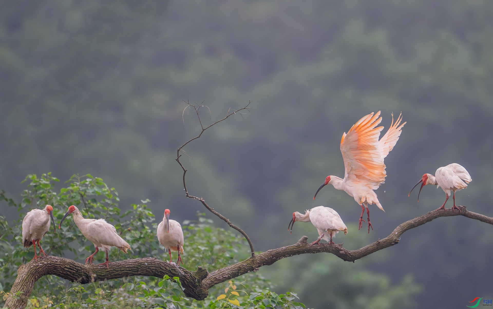 DSC_6936.jpg