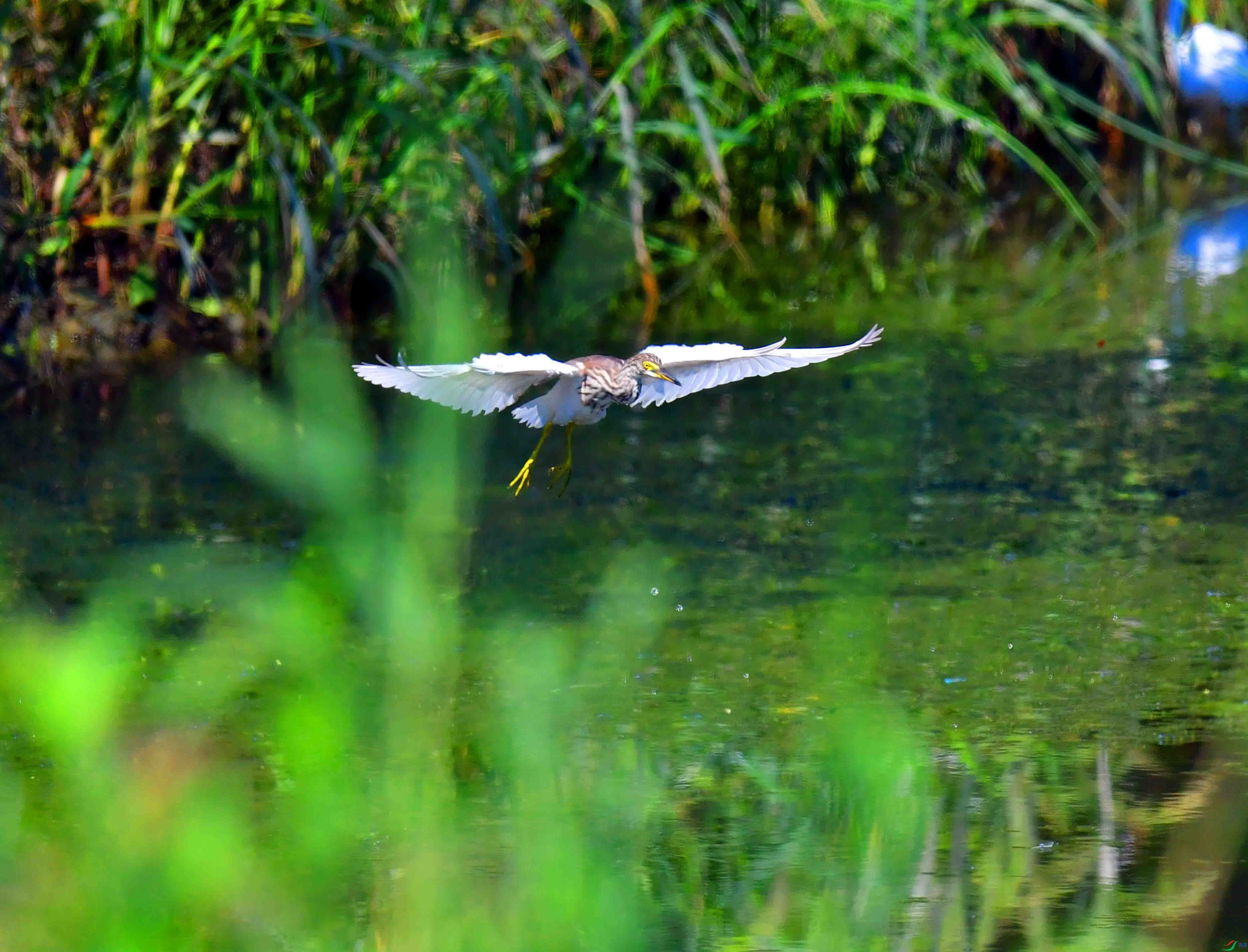 DSC_5501.JPG