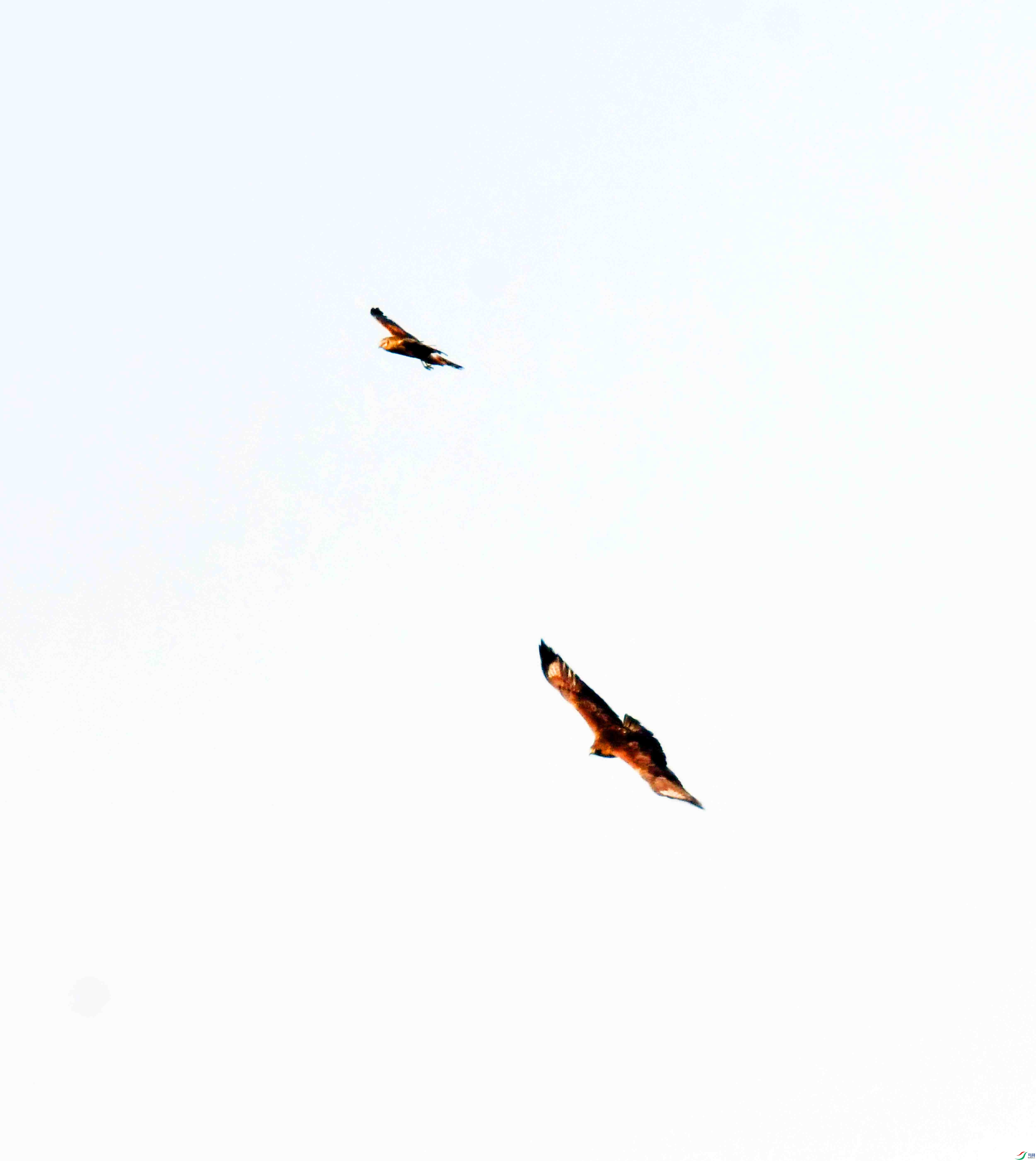 DSC_8494.JPG
