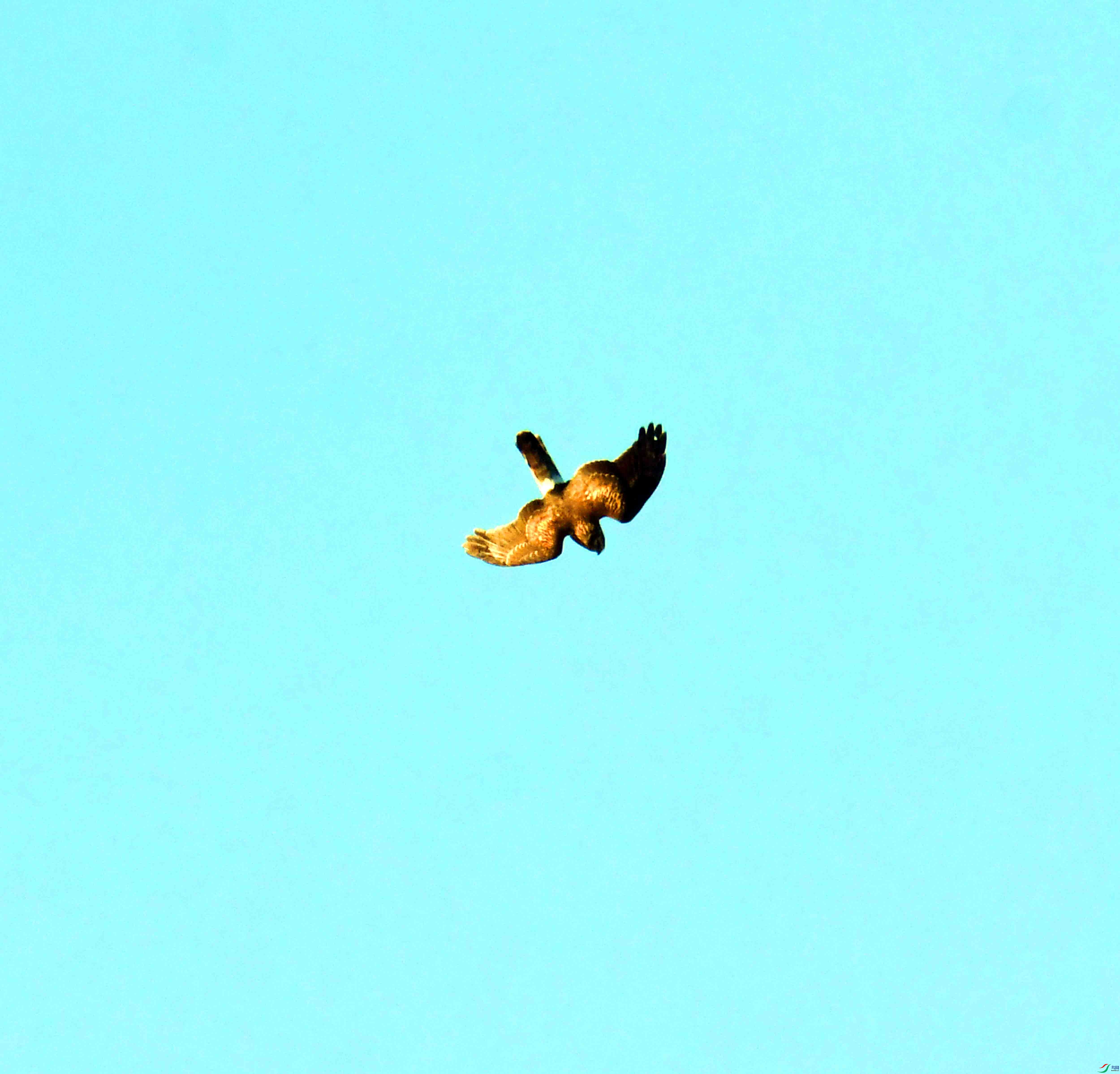 DSC_8500.JPG