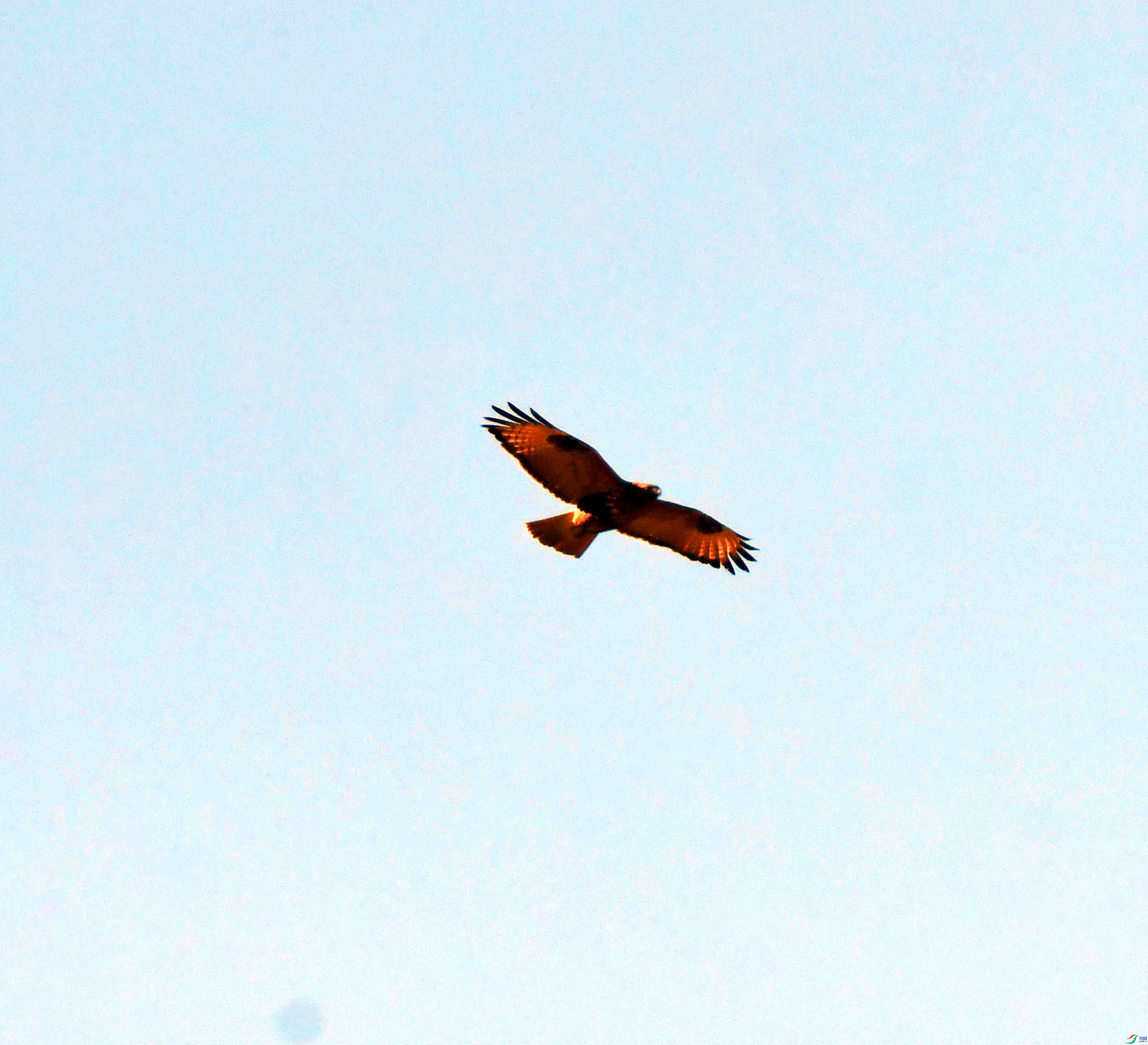 DSC_8522.JPG