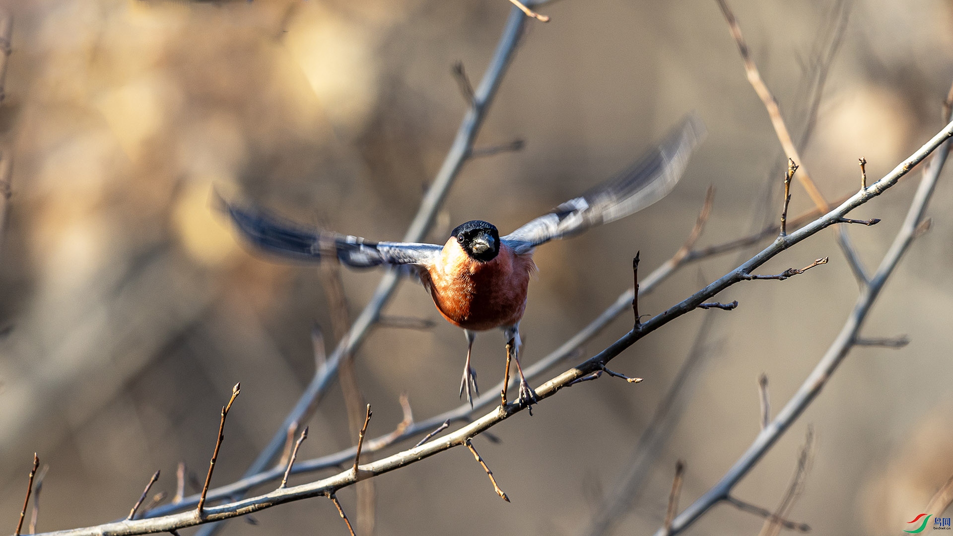 051A2124 ����n.jpg