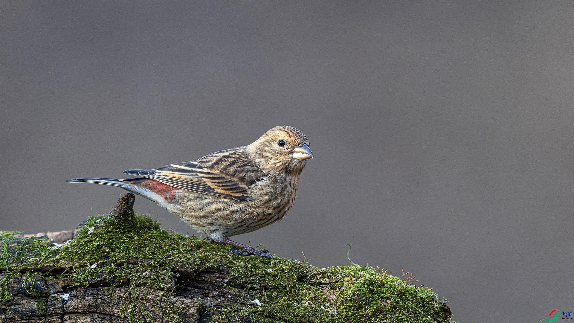 051A2250 ����n.jpg