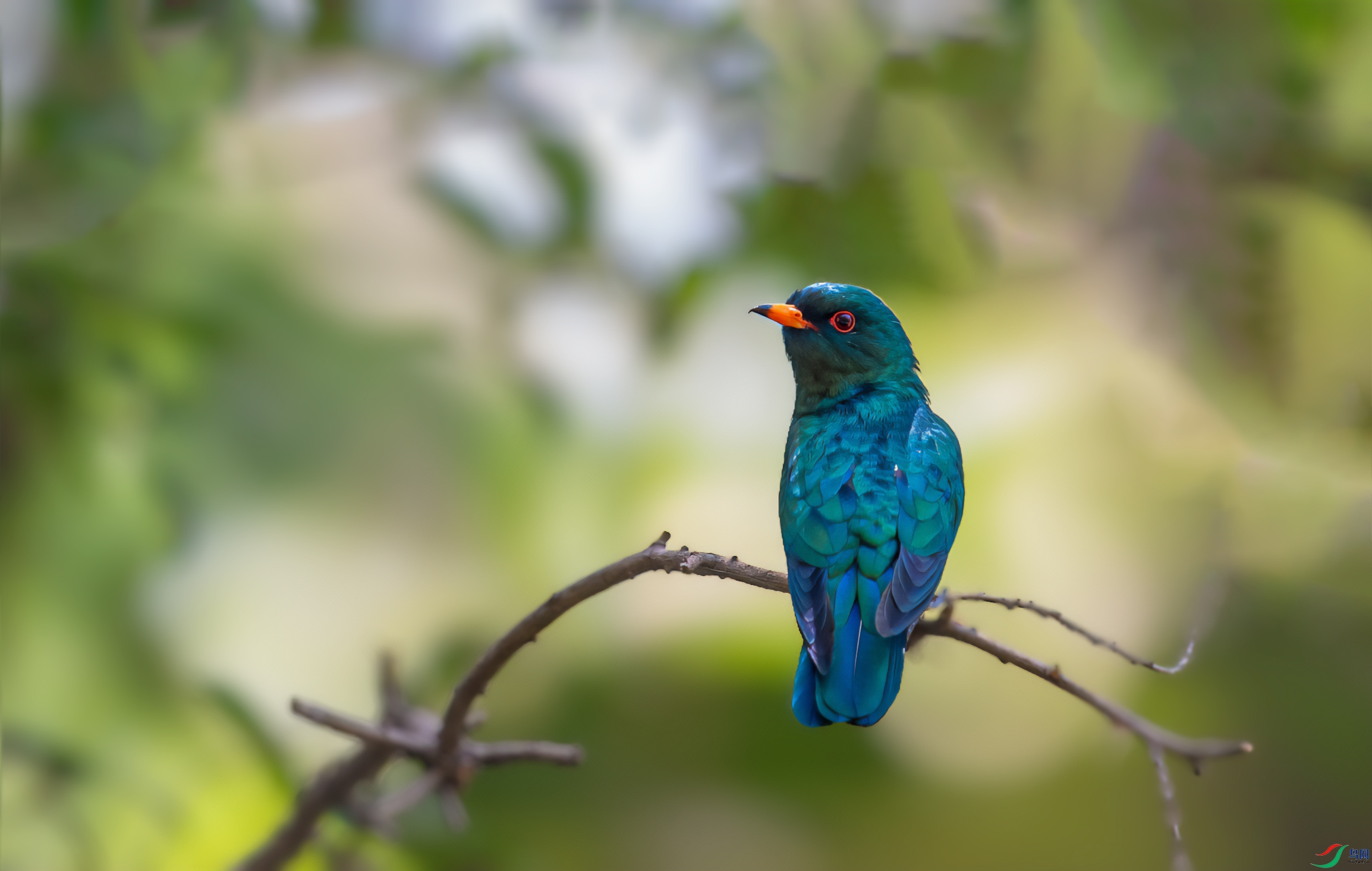 DSC_0636-1.jpg