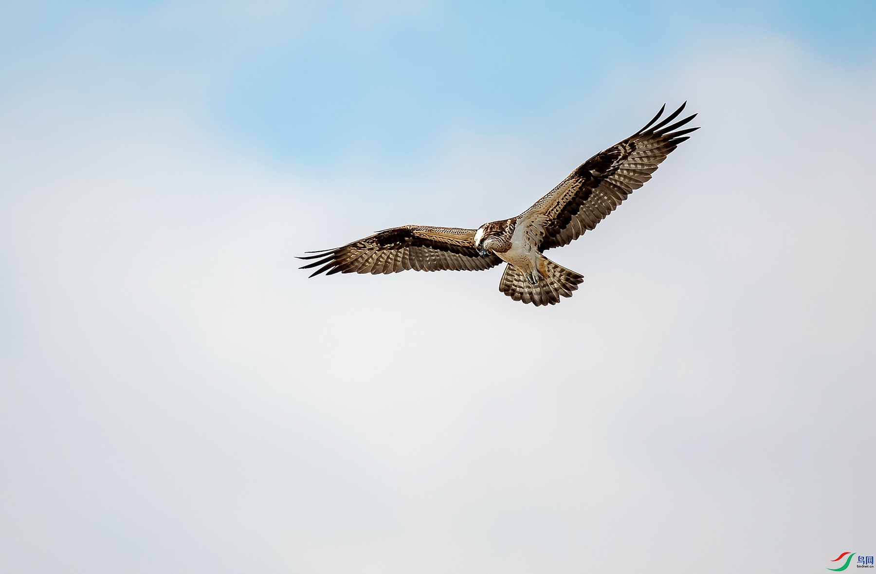 DSC_8565_����.jpg