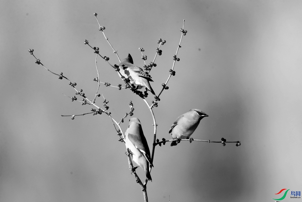 AG1I3094_����_����.jpg