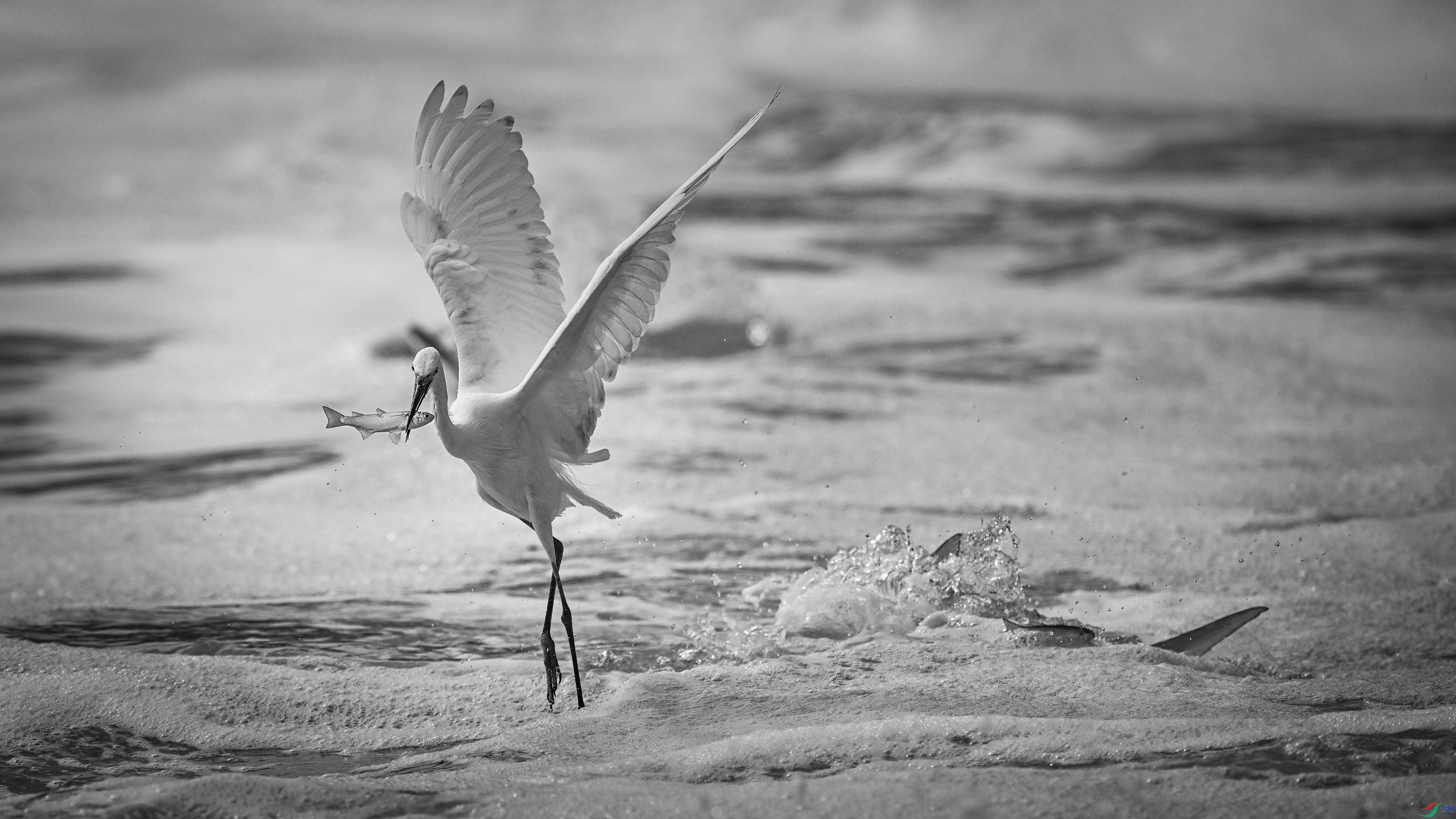 DSC_6944.jpg