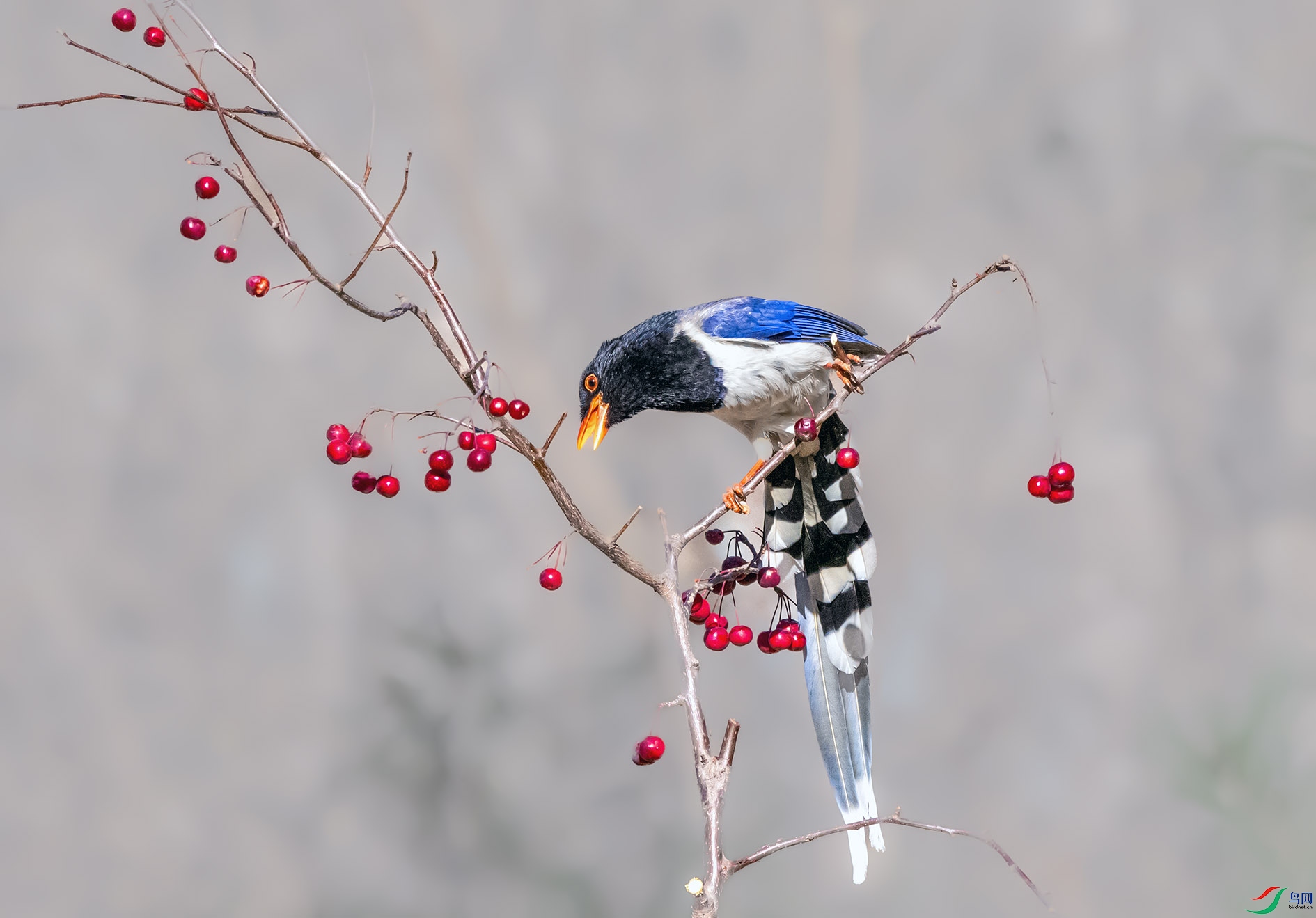 DSC_6984_��ͼ�� ����.jpg
