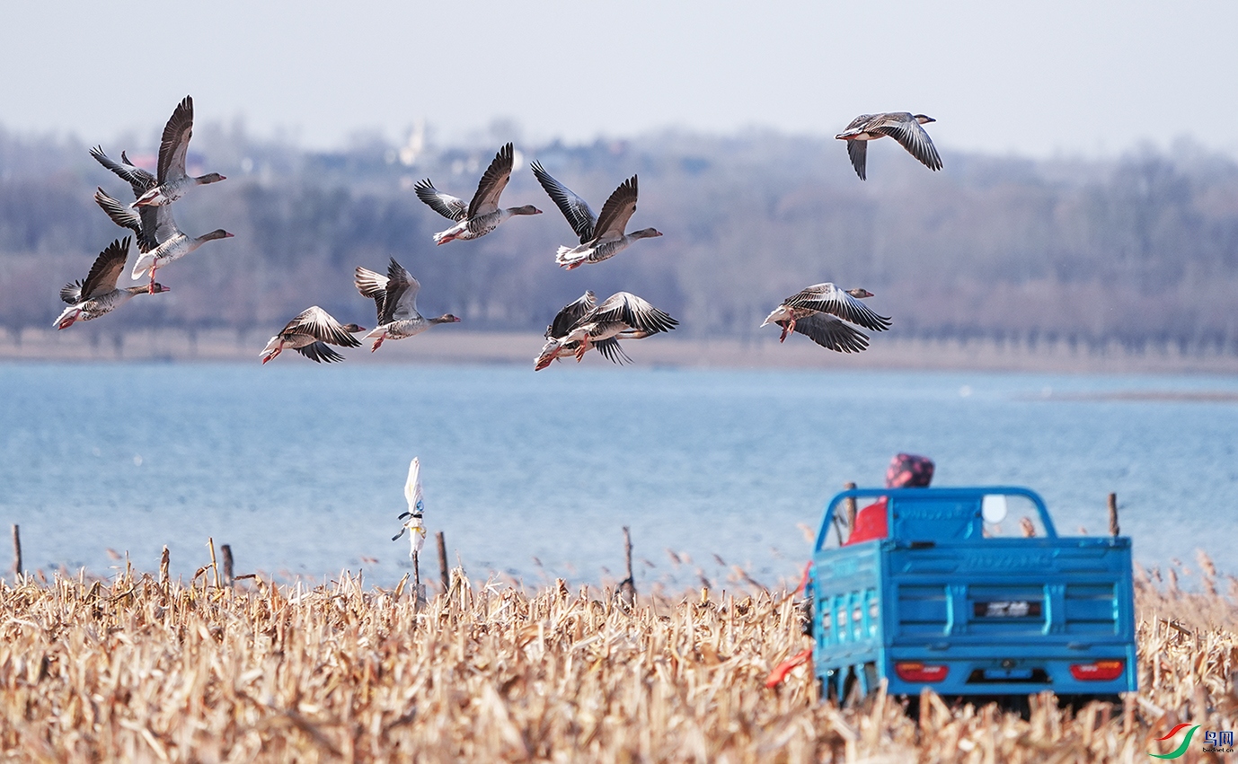 DSC06906 ����.jpg