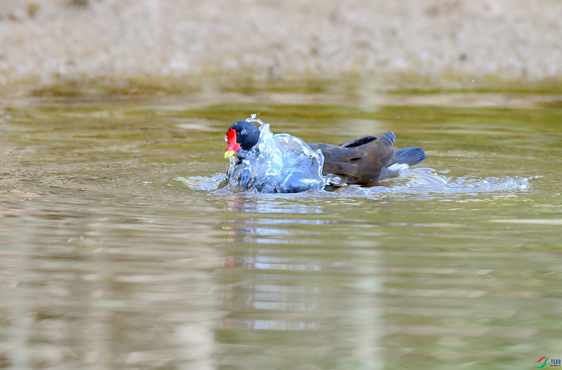 DSC_4875.jpg