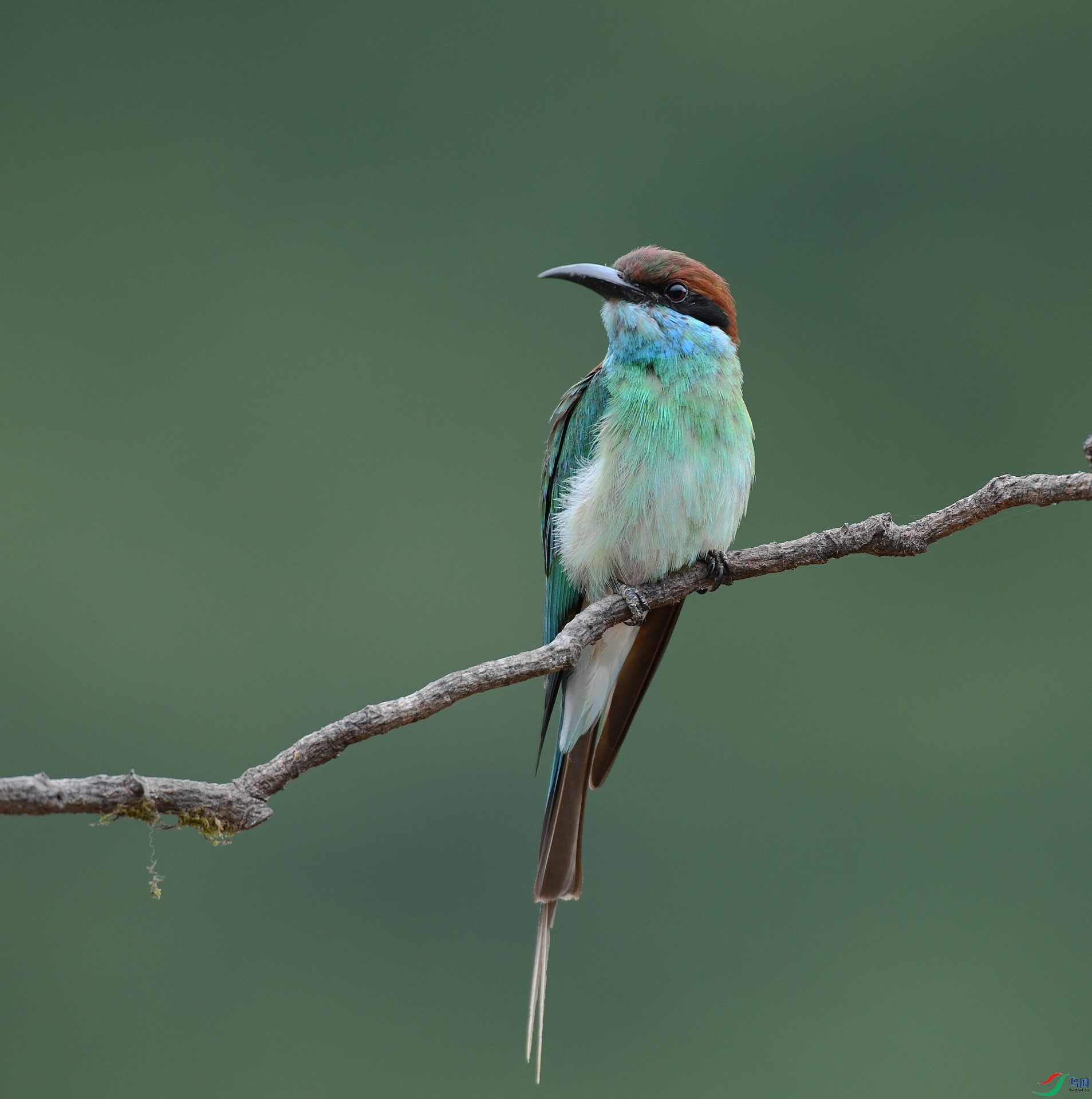 DSC_0889.jpg