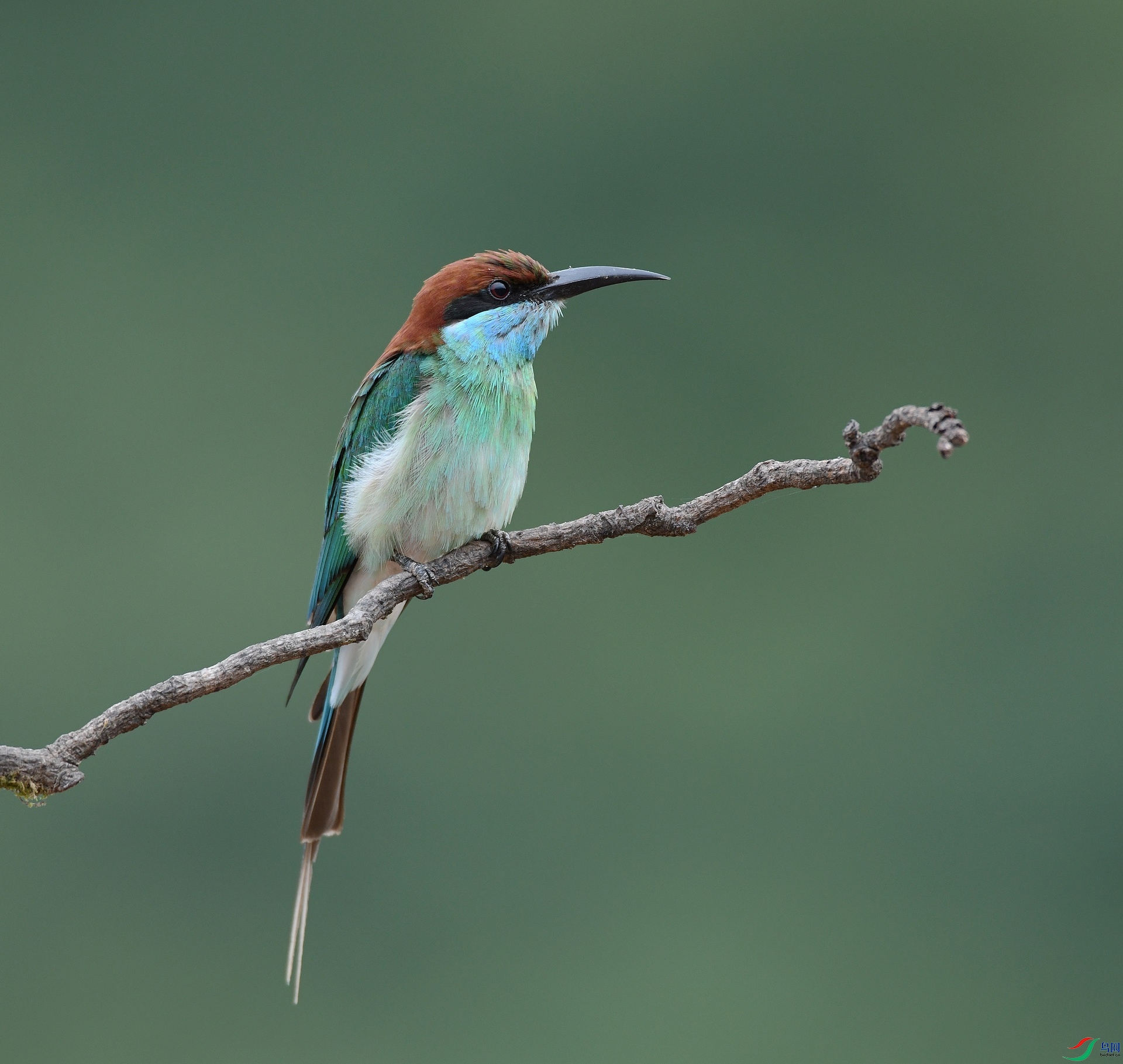 DSC_0886.jpg