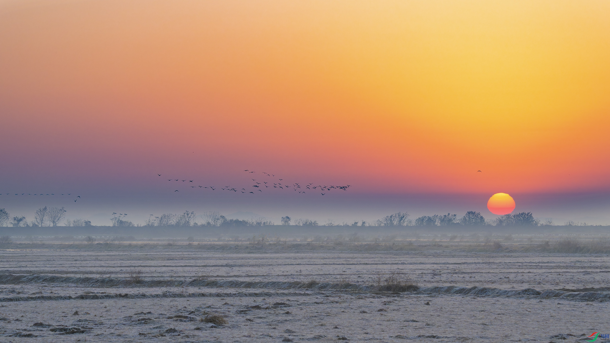 DSC_5855_DxO.jpg