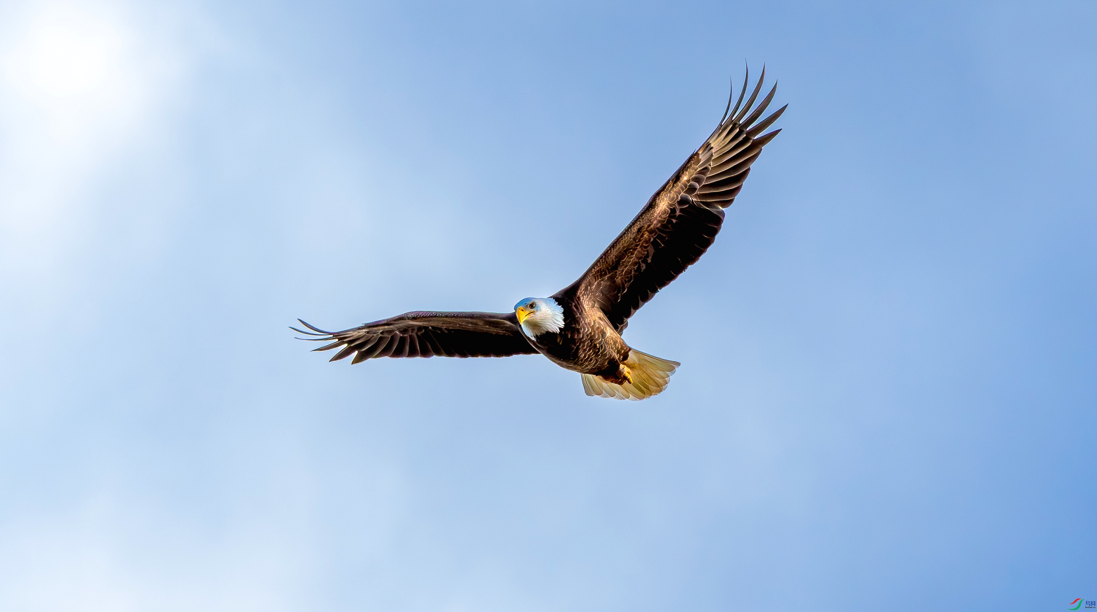 9C6A1786-1_����=00.jpg