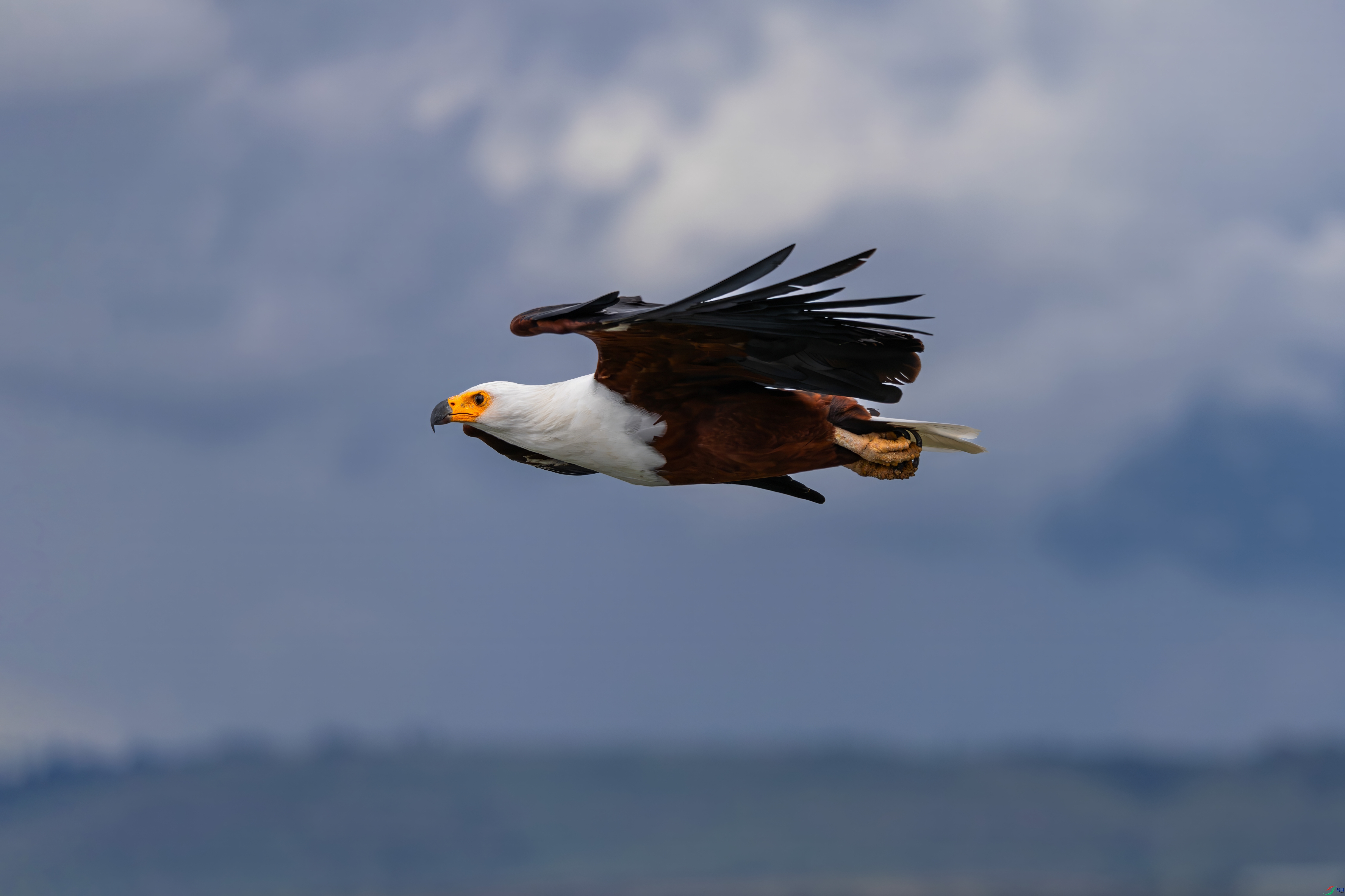 _08A7106-topaz-denoise.jpeg