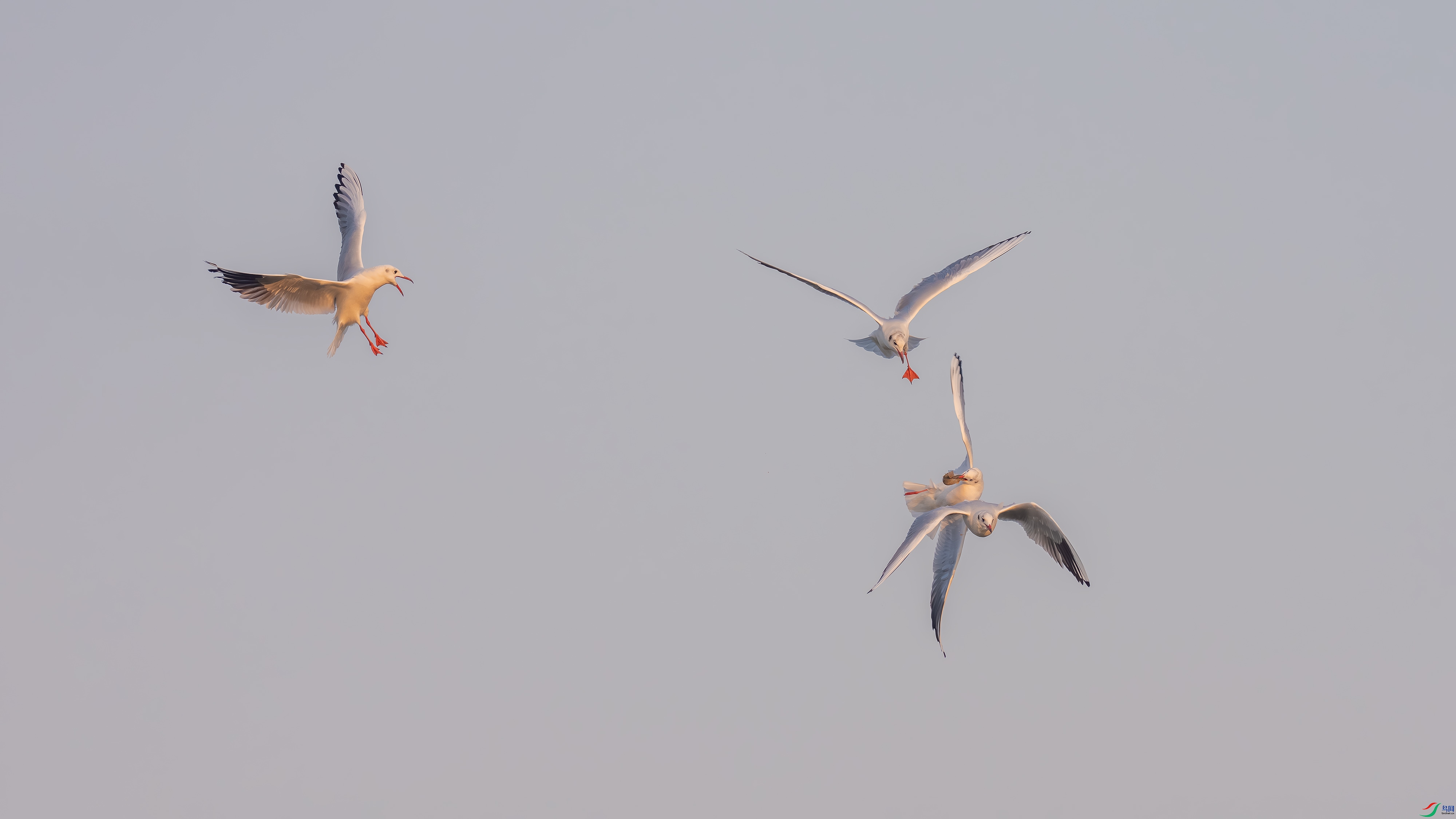 ADSC09610 ����.jpg