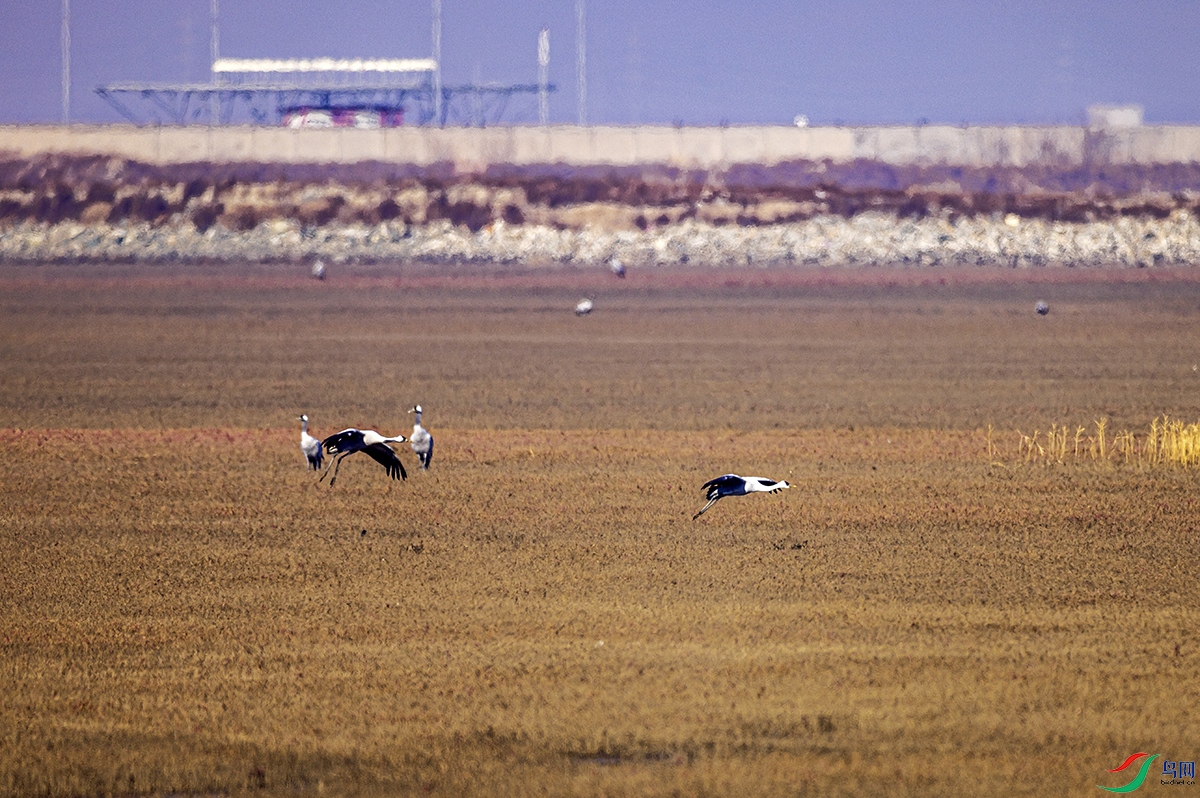_5LM0207a.jpg