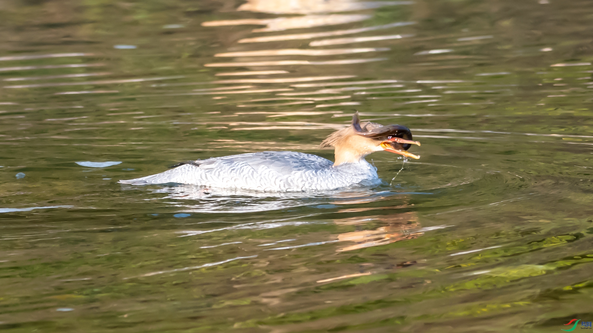 DSC_2391.jpg