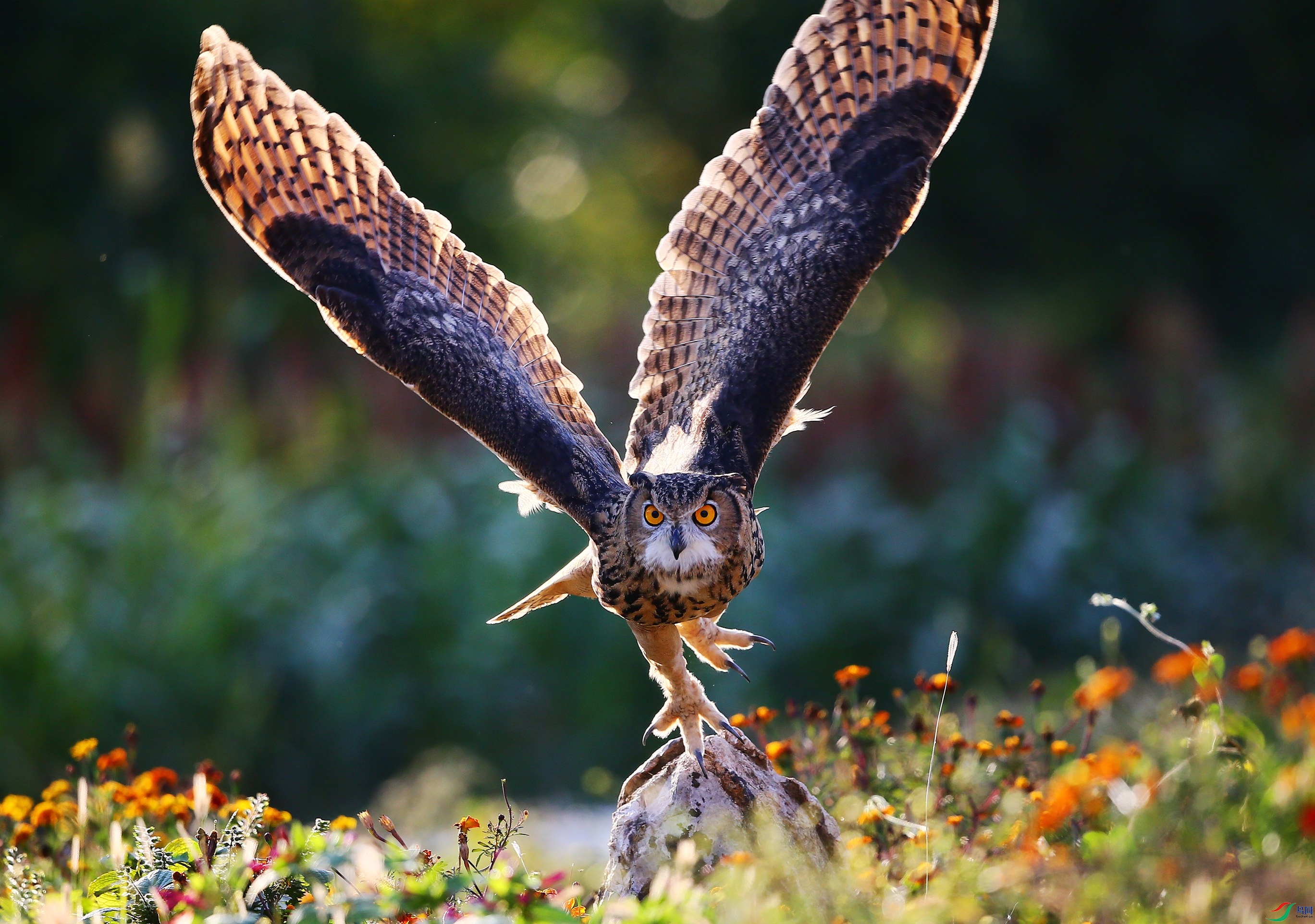 ���^  (138).JPG