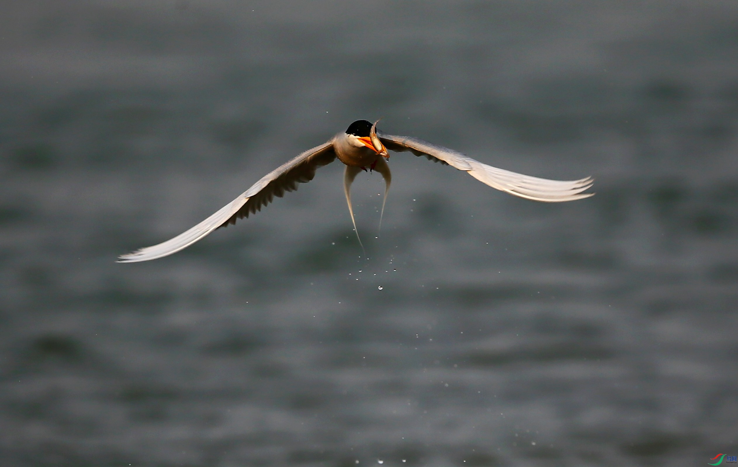 �������Ÿ (34).JPG