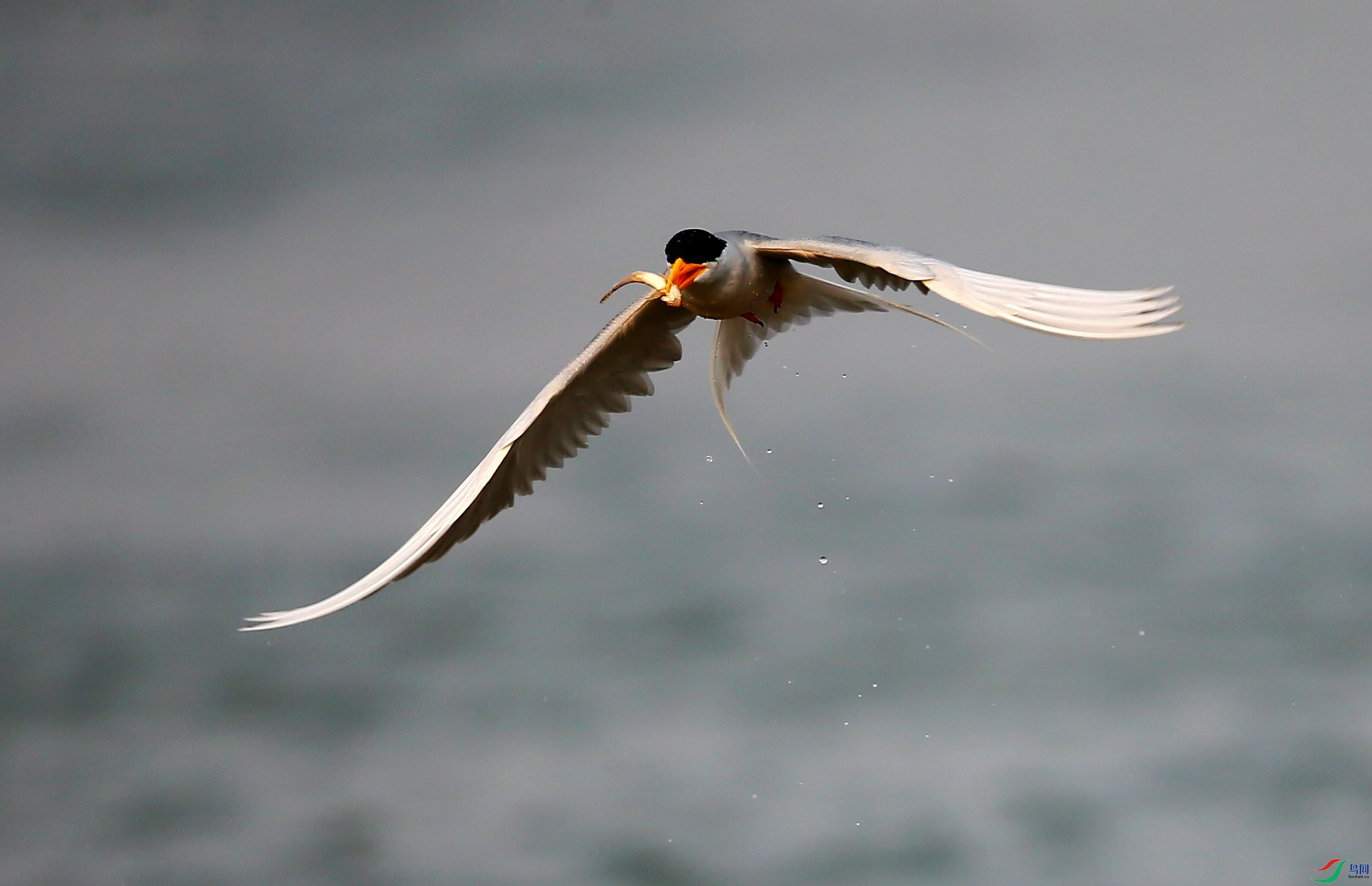 �������Ÿ (35).JPG