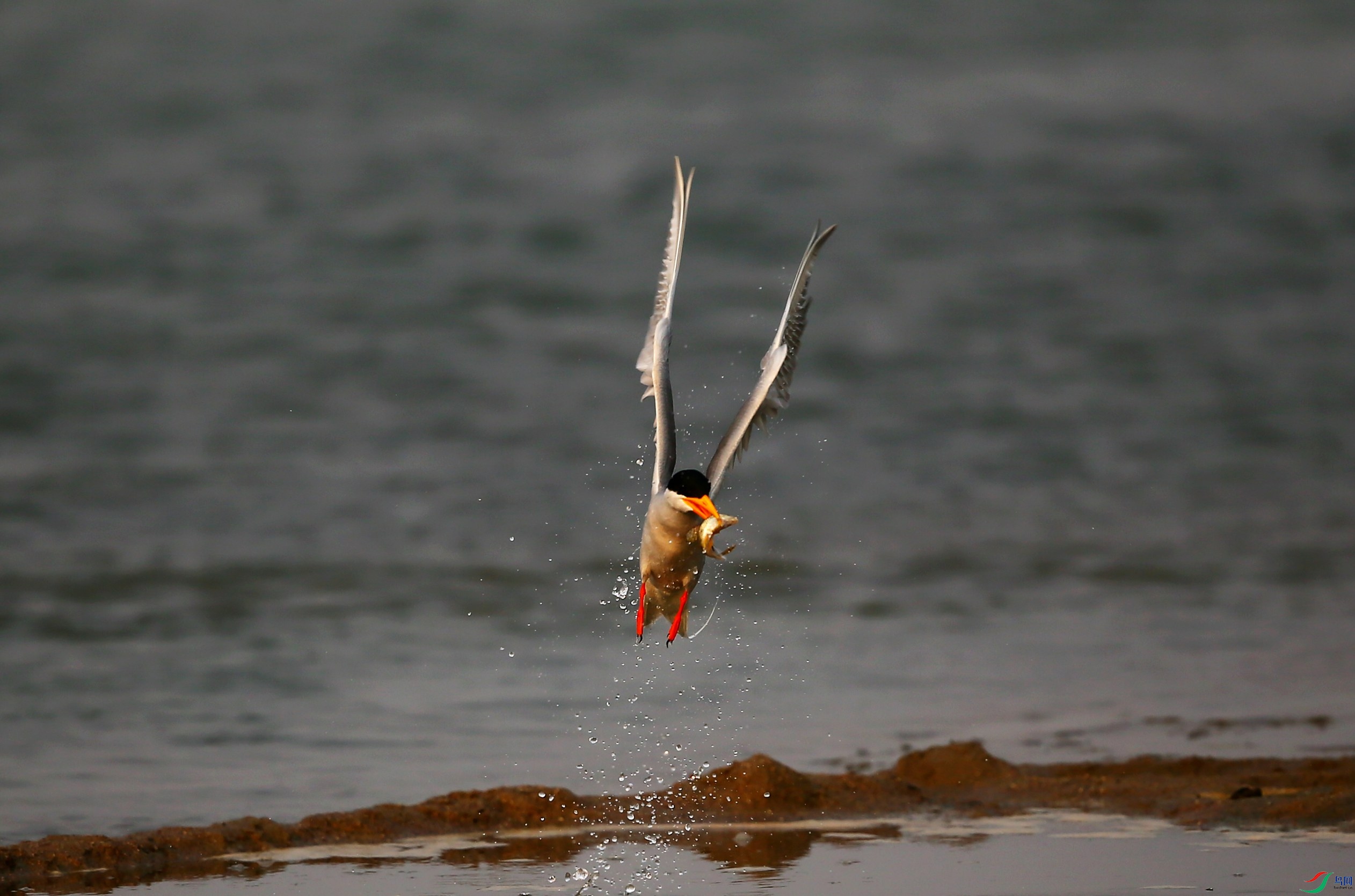 �������Ÿ (38).JPG