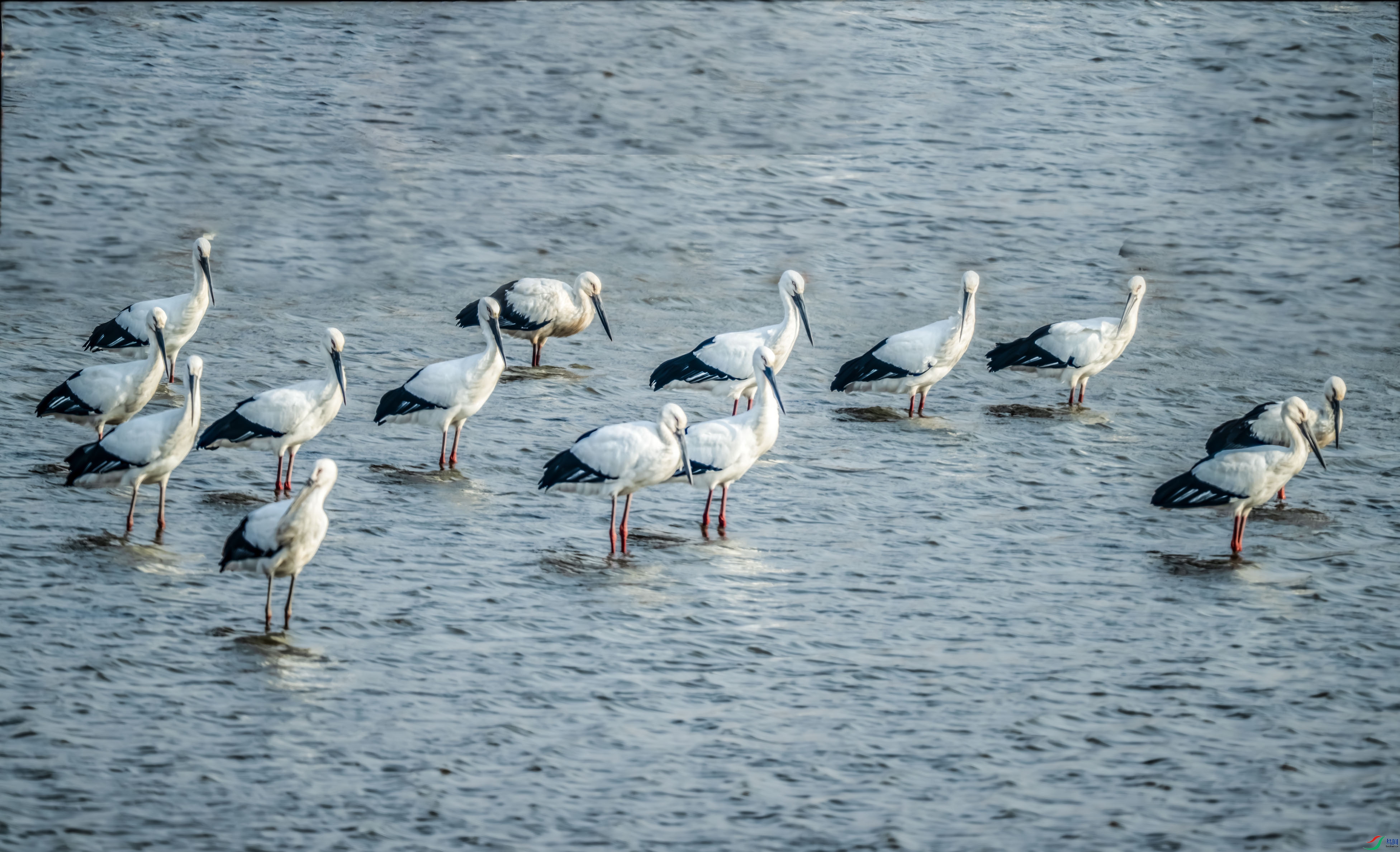 DSC_0741.jpg