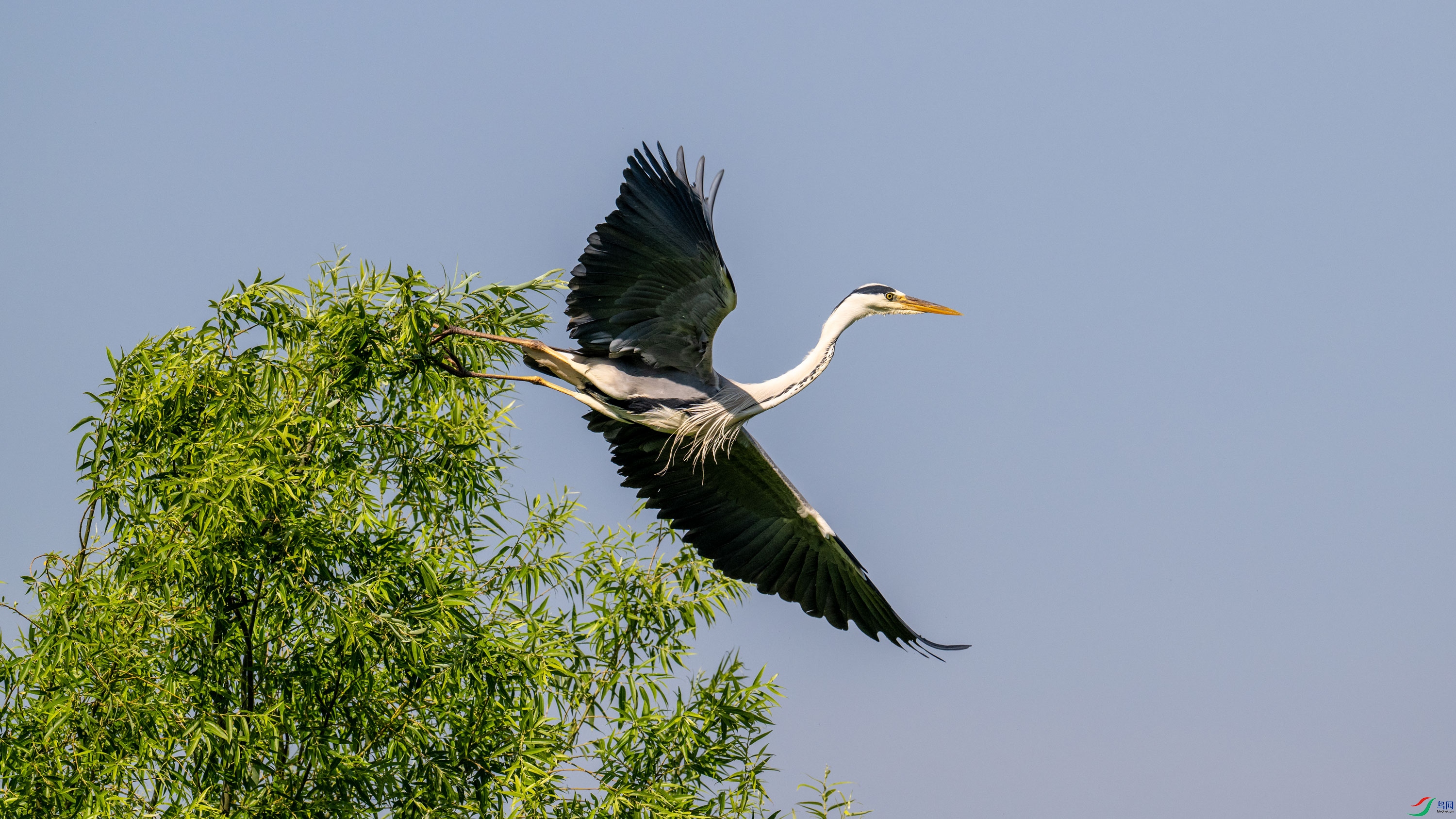 DSC_2318.jpg