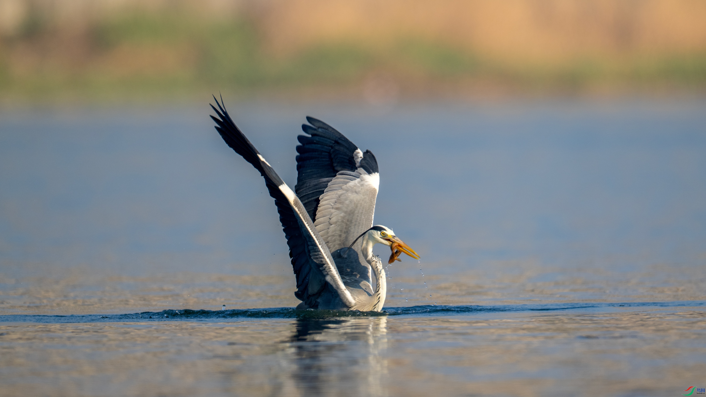 DSC_5423.jpg