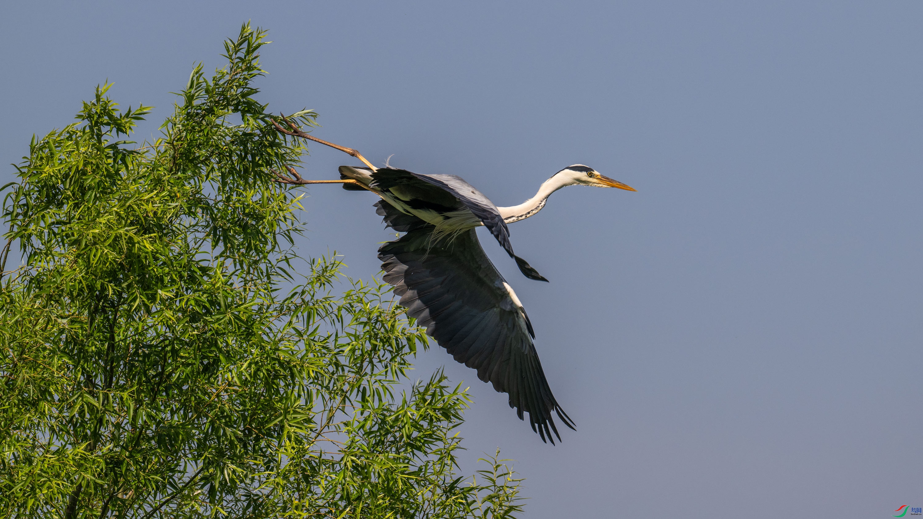 DSC_2319.jpg