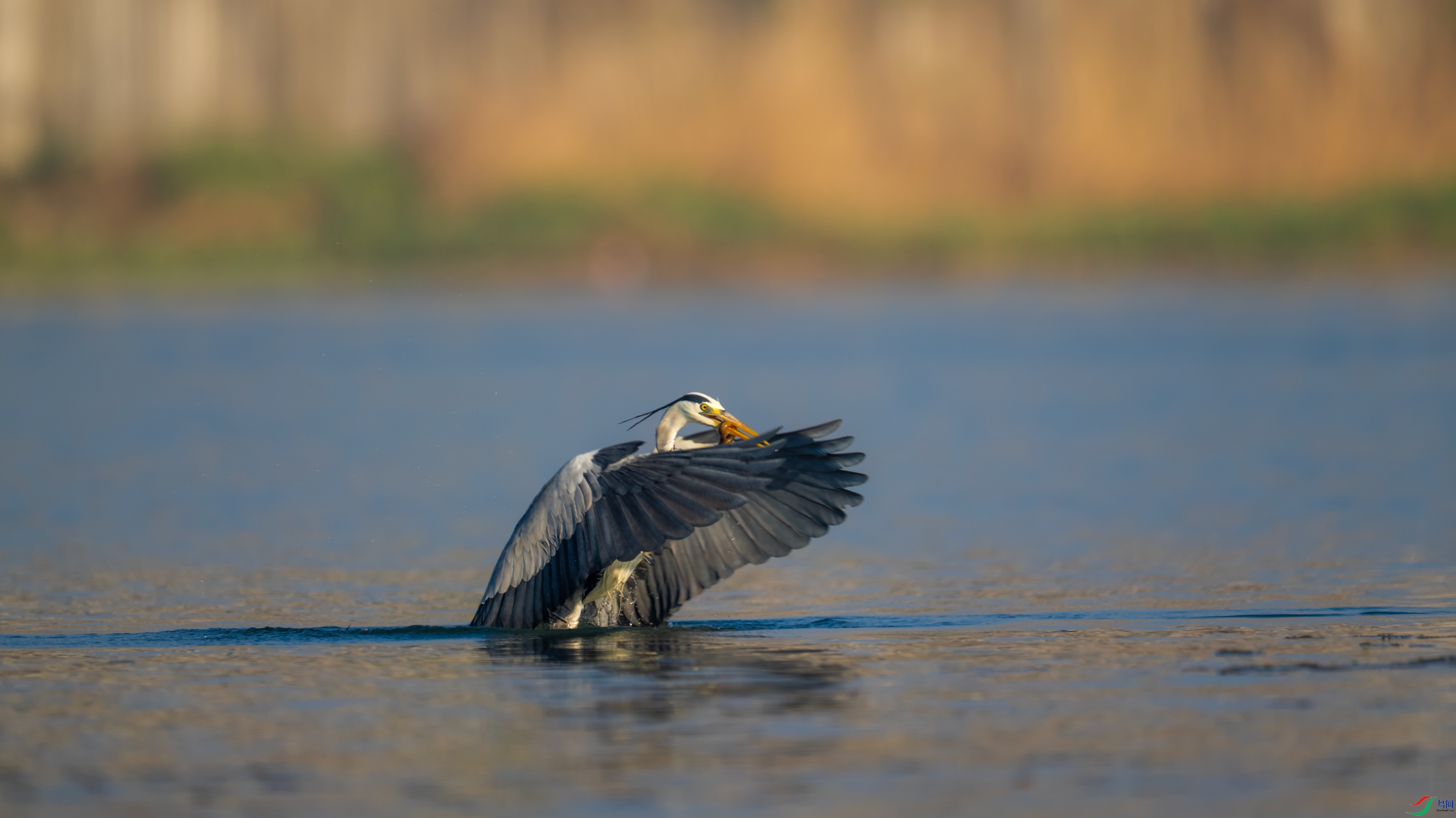 DSC_5426.jpg