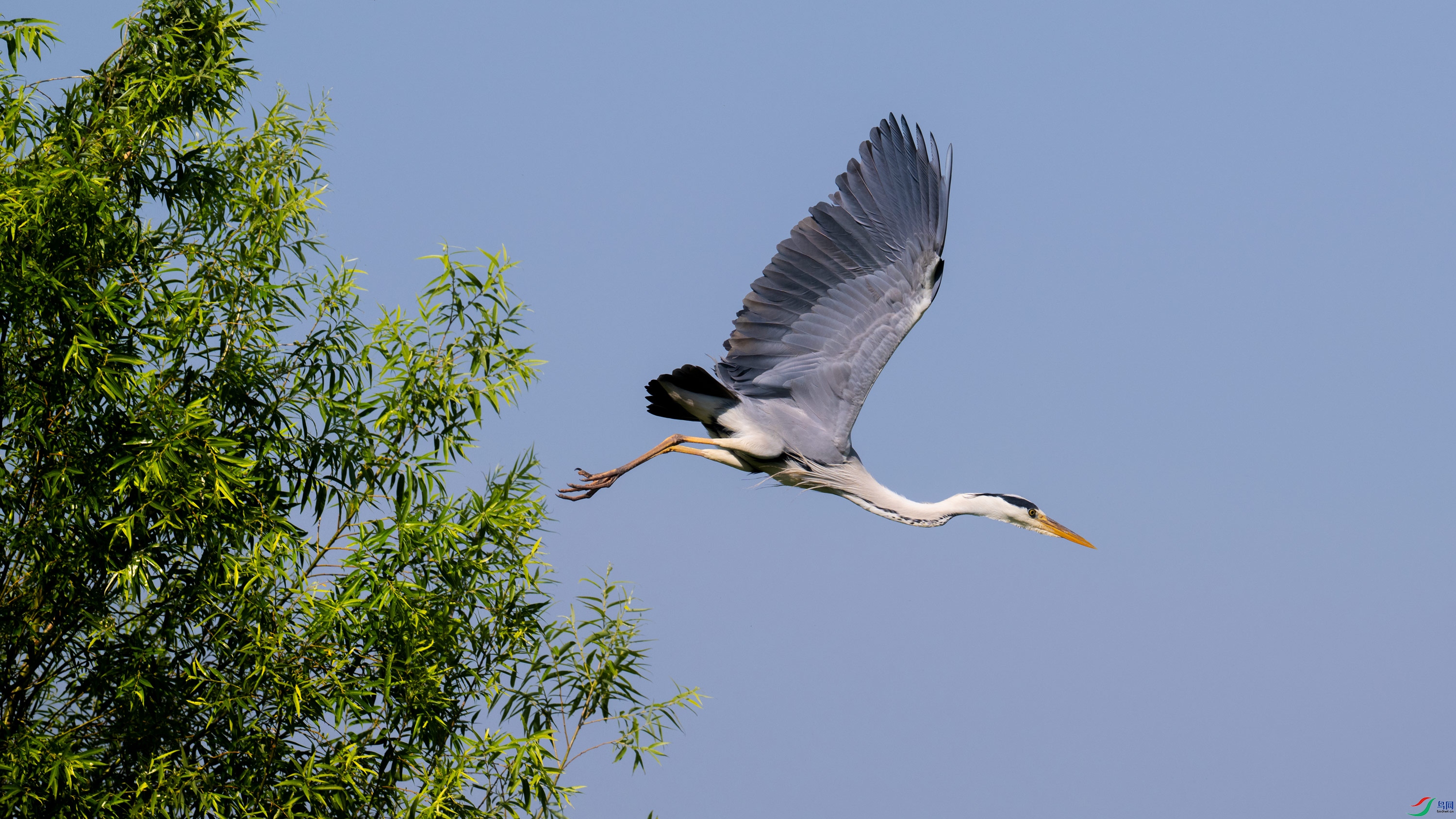 DSC_2324.jpg