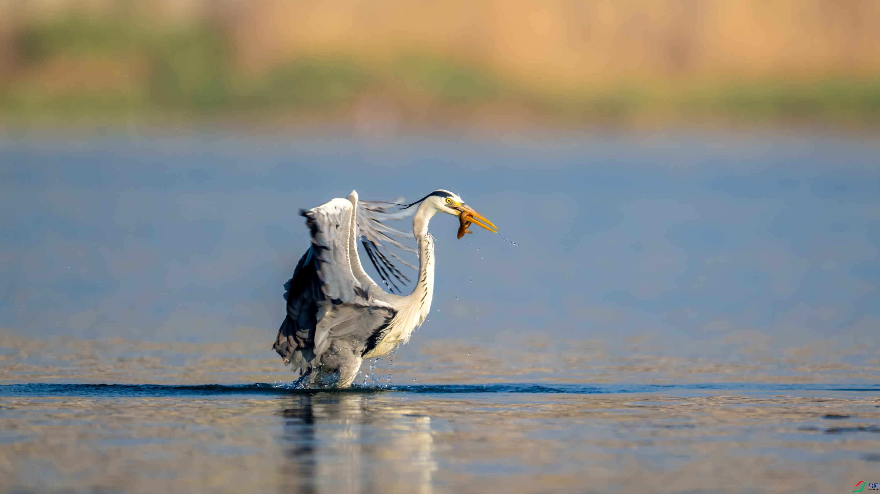 DSC_5427.jpg